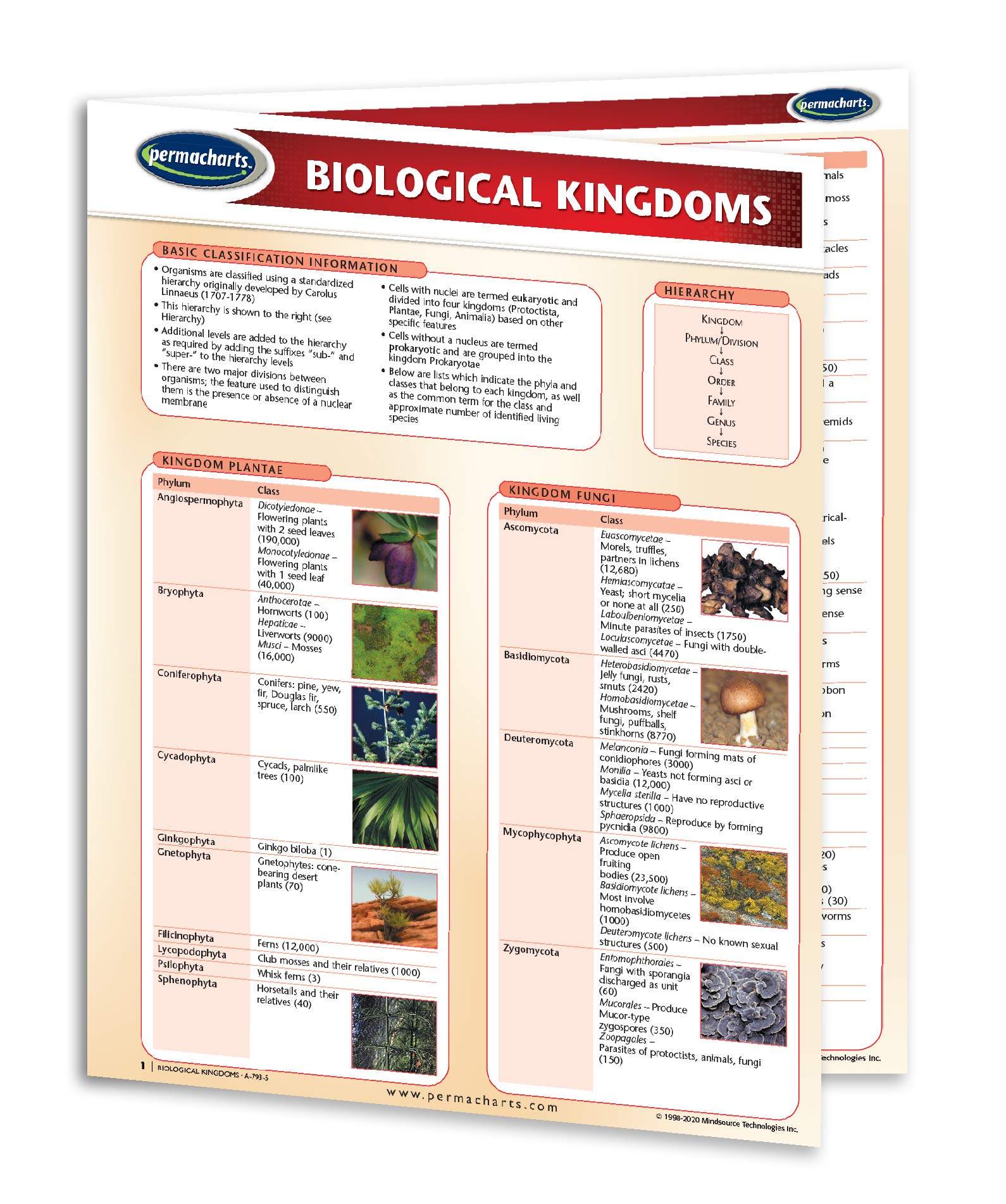 Biological Kingdoms - Biology Quick Reference Guide by Permacharts