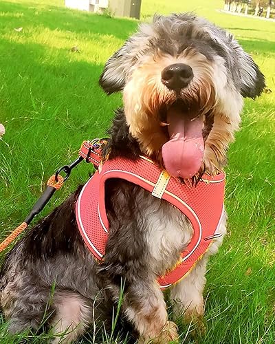 Vista 78 de Joytale arnés para perro, 12 colores, chaleco de malla transpirable, arnés acolchado suave reflectante para perros medianos, negro, XL.
