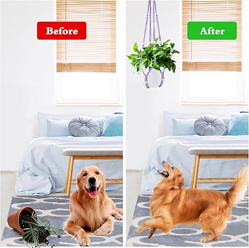 Vista 69 de Augshy 2 ganchos colgantes para plantas, para decoración de interiores y exteriores, macramé con 4 ganchos (35 pulgadas)