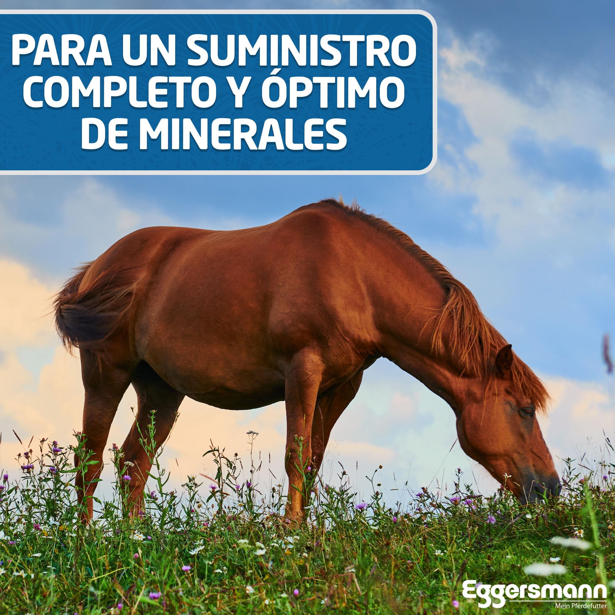 Eggersmann Golden Mineral - Pienso Mineral para Caballos y Ponis - Suplemento para una Dieta básica - 25 kg