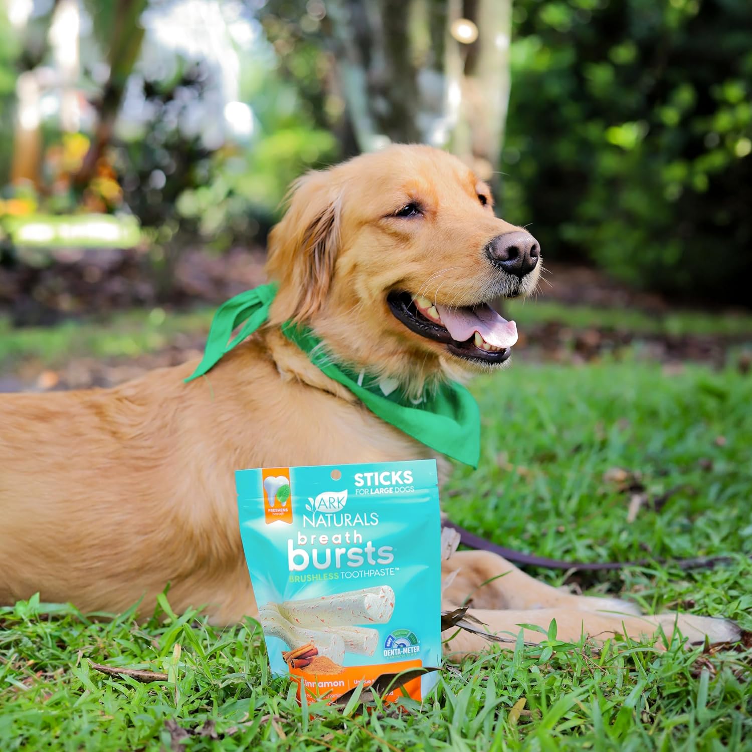 ARK Naturals Breath Bursts Dog Treats, Dog Dental Sticks for Large Breeds, Unique Texture Helps Clean Teeth & Freshen Breath, Cinnamon, 6 oz, 1 Pack