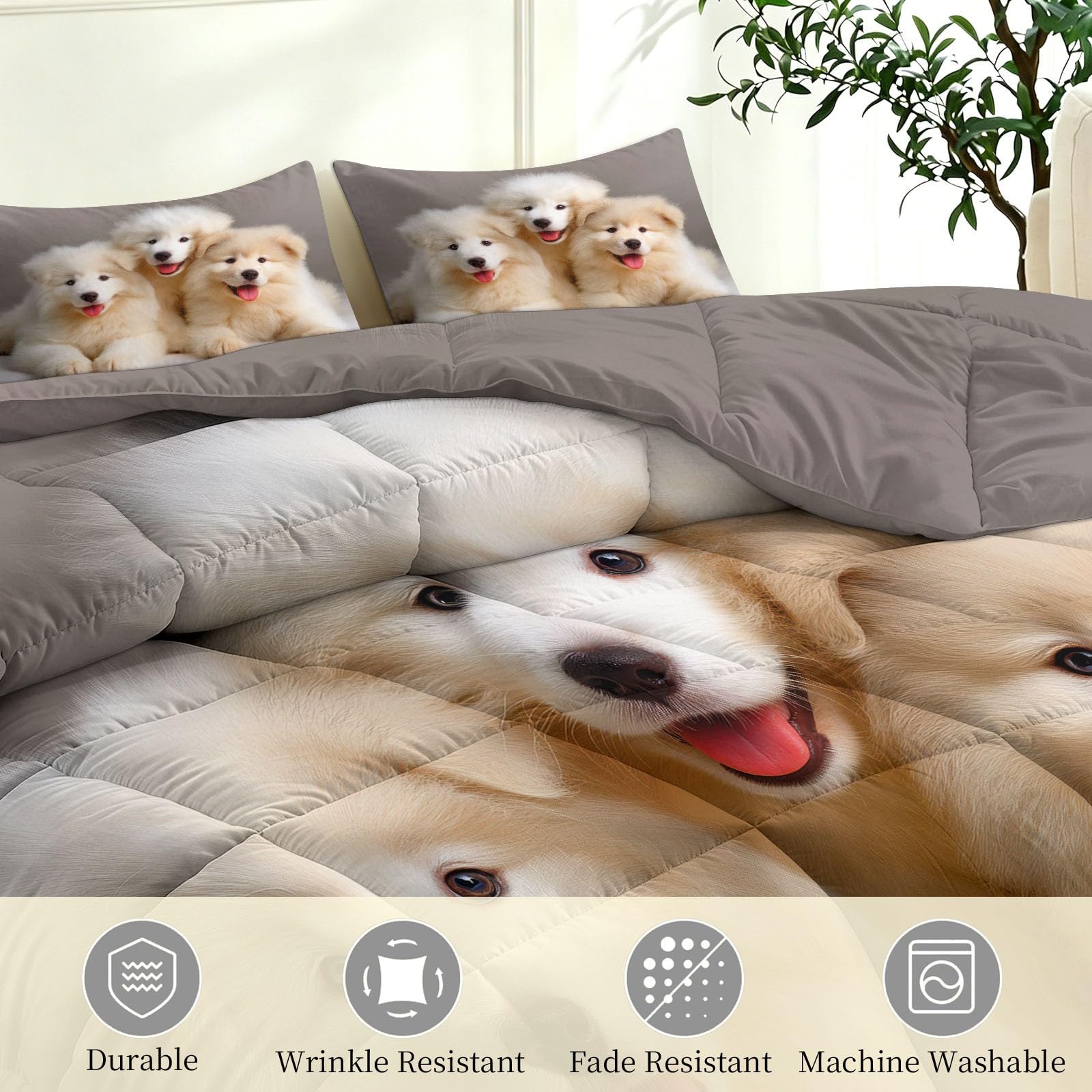 Couette Réversible Chien Samoyède Animal de Compagnie pour Lit 2 Personnes Couette sans Housse Mignon pour Enfants Lavable en Machine avec Taies d'oreiller pour Toutes Saisons, Gris, 200 x 200 cm
