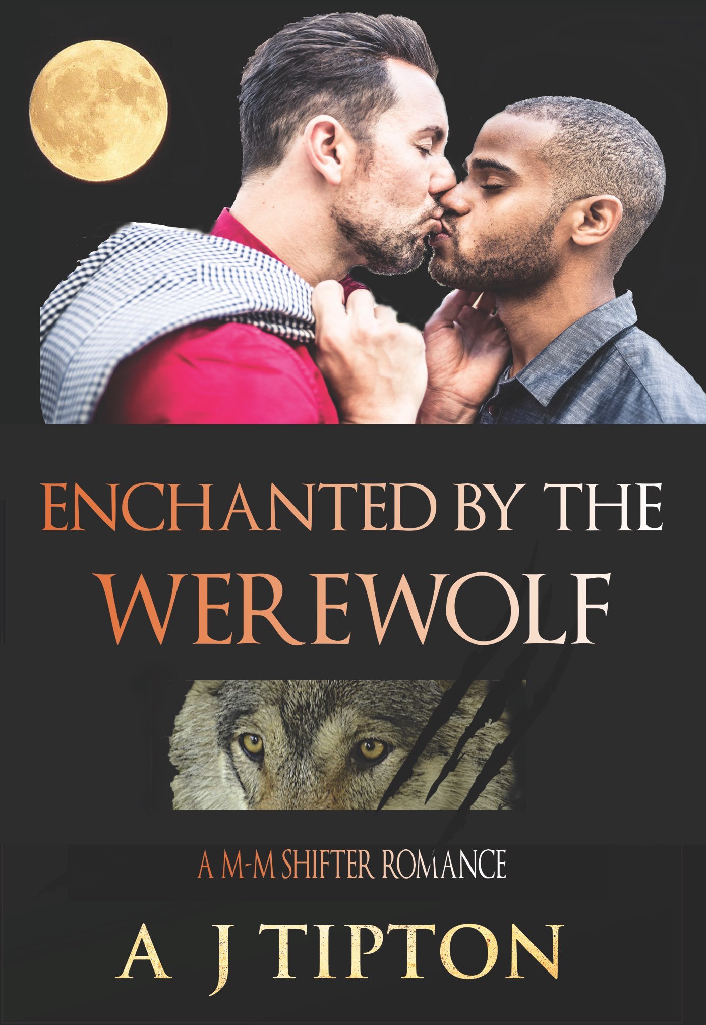 Cover of Enchanted by the Werewolf