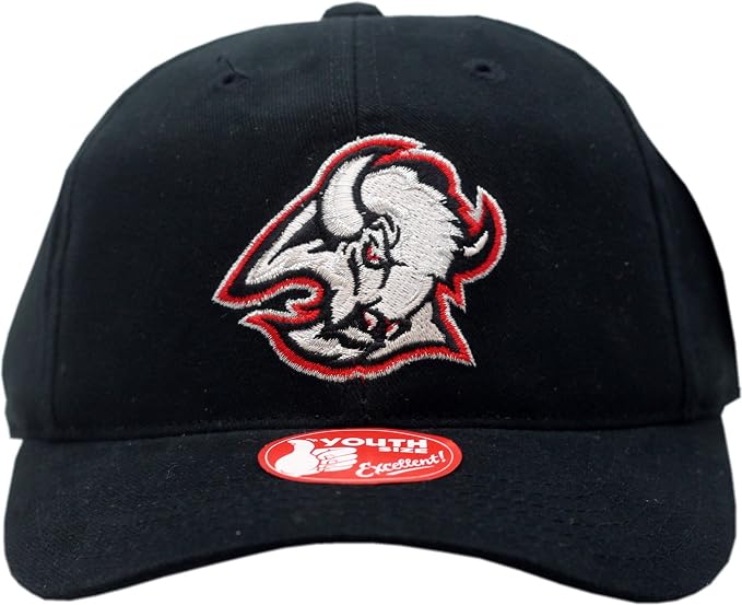 Buffalo Sabres Youth Snapback Hat Logo 