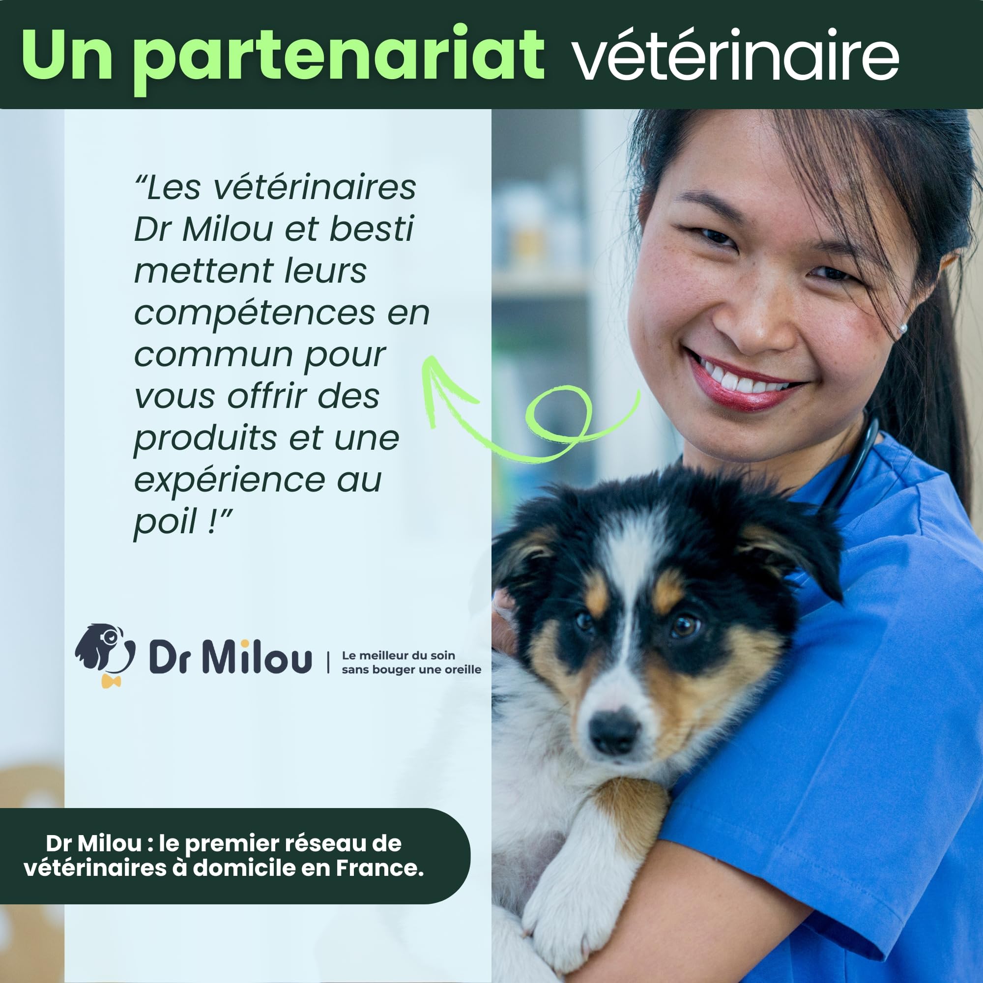 BESTI - Haleine, Dents & Gencives | Poudre Dentaire pour Chiens | Anti-Tartre, Mauvaise Haleine | Pré Post Probiotiques Naturels | Marque Française - Formule Vétérinaire | Eucalyptus | 75 Doses | 150g