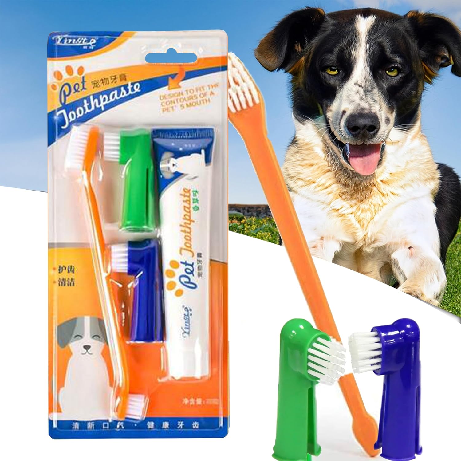Softomall Cat Dog Toothpaste and Toothbrush Set 4 Piece