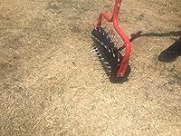 Review Image by Eileen S. Eileen S.