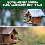 Ver la foto 5