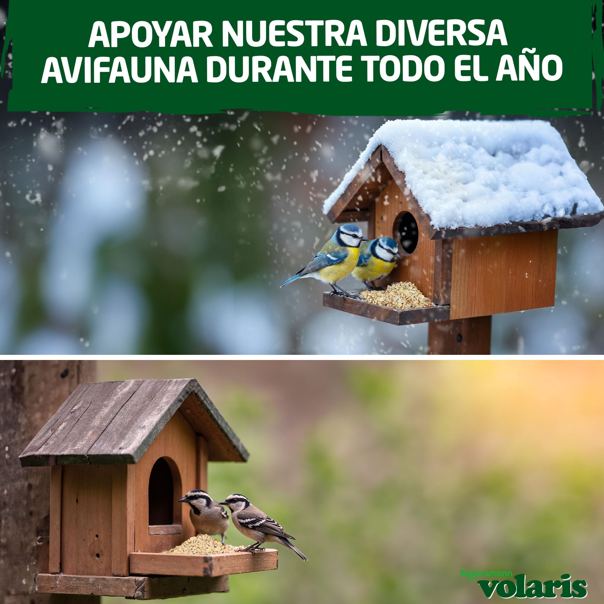 Eggersmann volaris Cacahuetes Picados 8 x 2 kg – Comida para Aves Silvestres con energía y proteínas – Núcleos de maní Picados Frescos y Naturales – Alimento para Aves Silvestres
