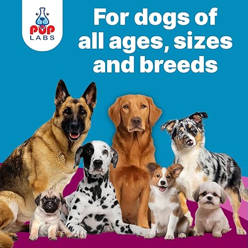 Miniatura 5 de Pup Labs K9 Belly Bliss - Soporte digestivo diario - Prebiótico formulado a medida para perros - Topper para alimentos secos y húmedos, 30