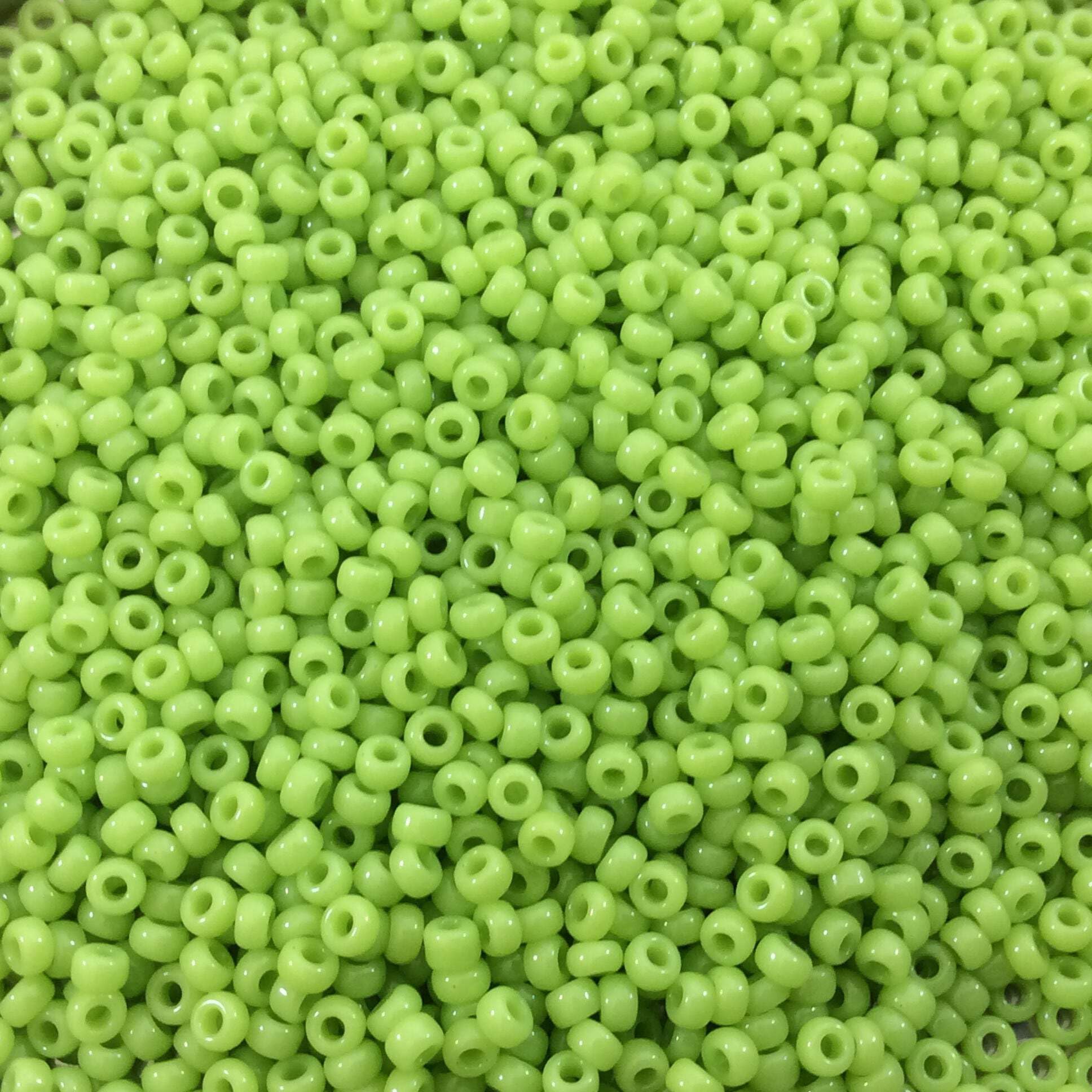 Chartruese Opaque Miyuki 11/0 rocailles glass seed beads 24 grams