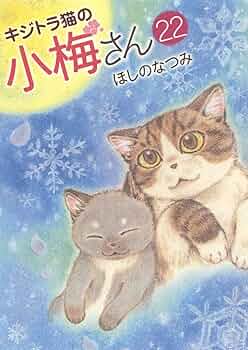 キジトラ猫の小梅さん 22 (22巻) (ねこぱんちコミックス