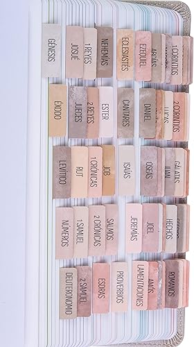 DiverseBee Pestañas bíblicas en español (impresión grande, fácil de leer), pestañas de libro de diario bíblico, regalo cristiano, 66 pestañas