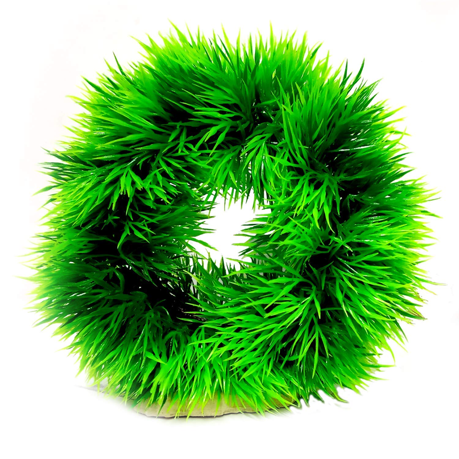JAINSONS PET PRODUCTS Ring Shape Plastic Green Grass Plants for Aquarium Decorations Green Grass Plants Fish Tank 17 CM Plant (1 Plant) (B07TXCJZXC) Amazon Price History, Amazon Price Tracker