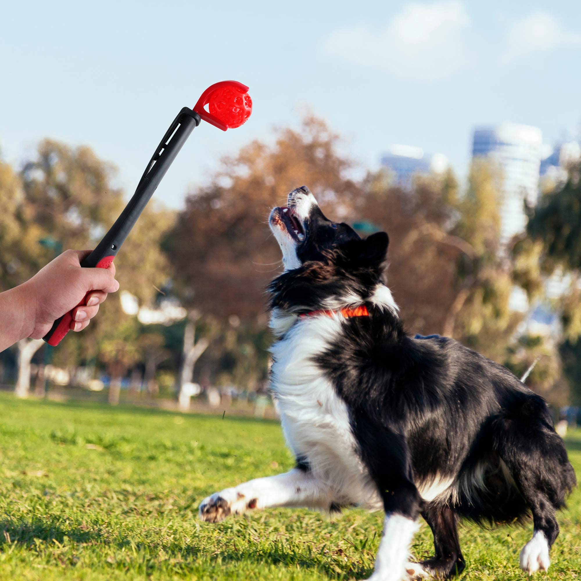 amazon ball launcher