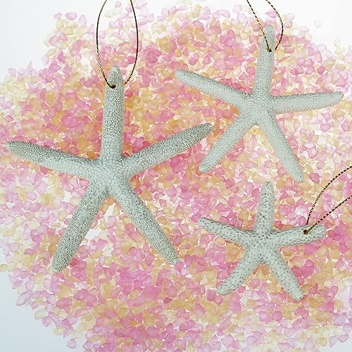 Miniatura 6 de LJY 30 unidades de resina de tamaños mixtos con estrella de mar con cuerda para árbol de Navidad, adornos colgantes para árbol de Navidad, temática