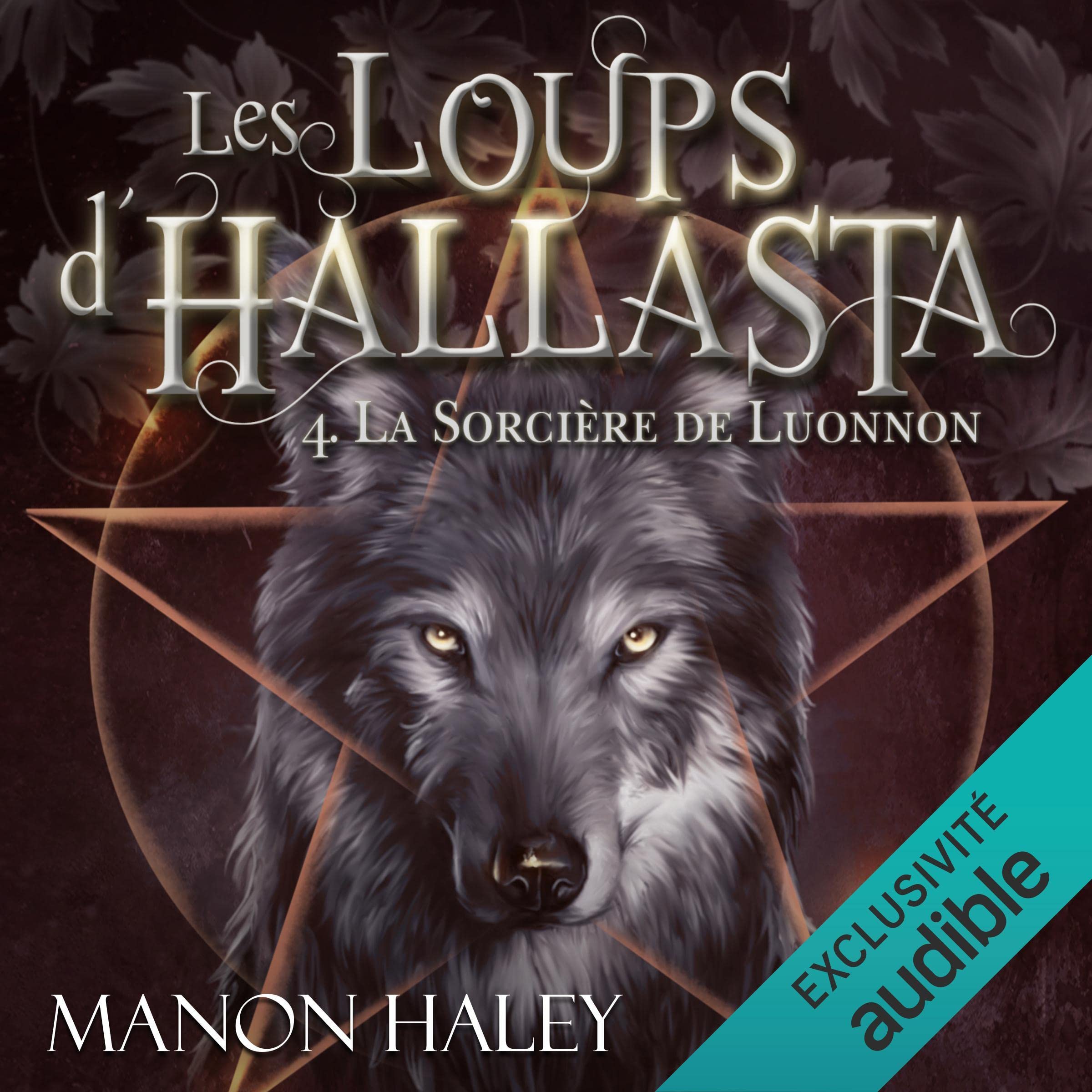 Cover art for La sorcière de Luonnon