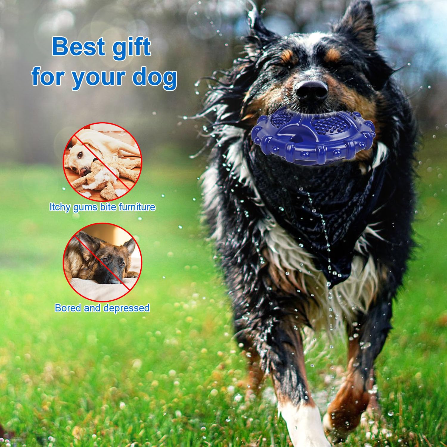 Autoau Giochi per Cani Indistruttibile, Gioco Cane Interattivo Squeak, Giocattoli da Masticativi per Cani in Gomma Naturali per Aggressivi Cane di Medio/Grande Pulizia Denti