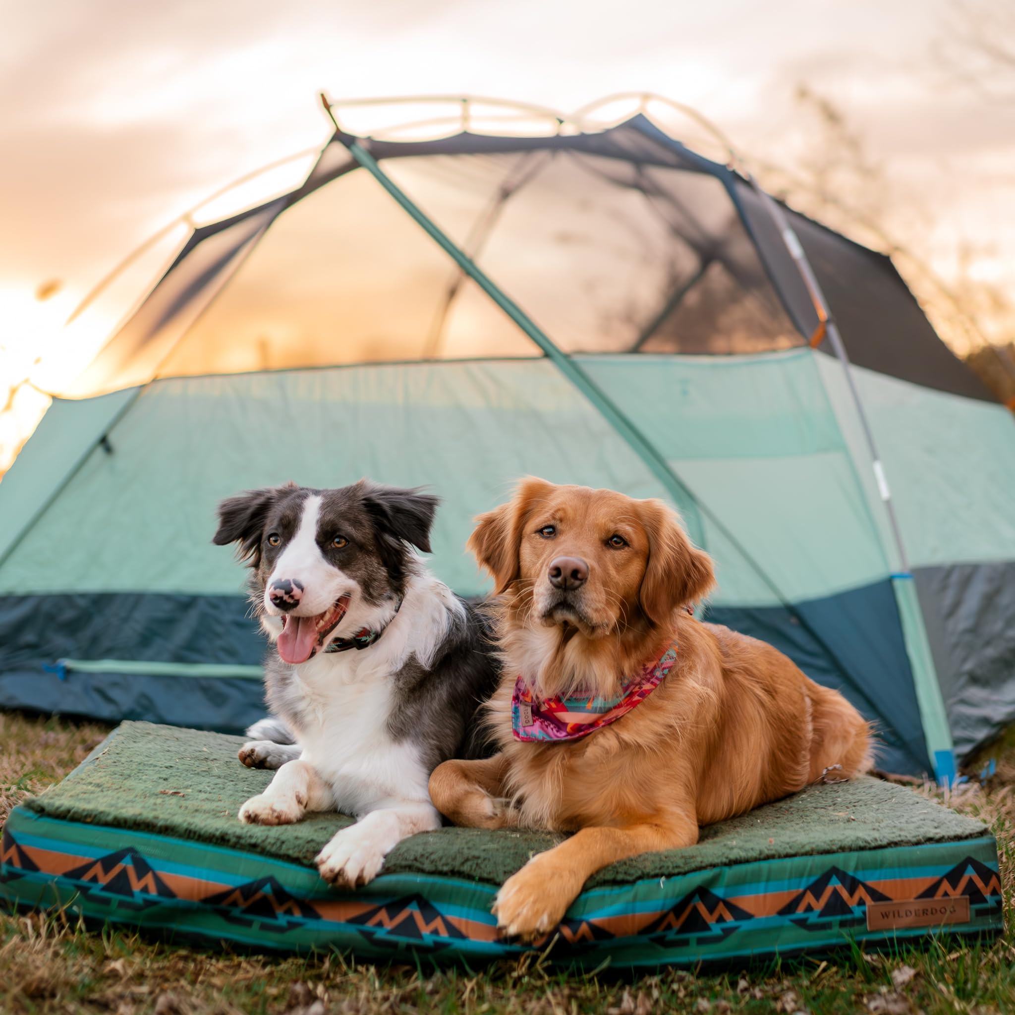 Dog Sleeping Bag Whyld River's DoggyBag A Premium Sleeping Bag For