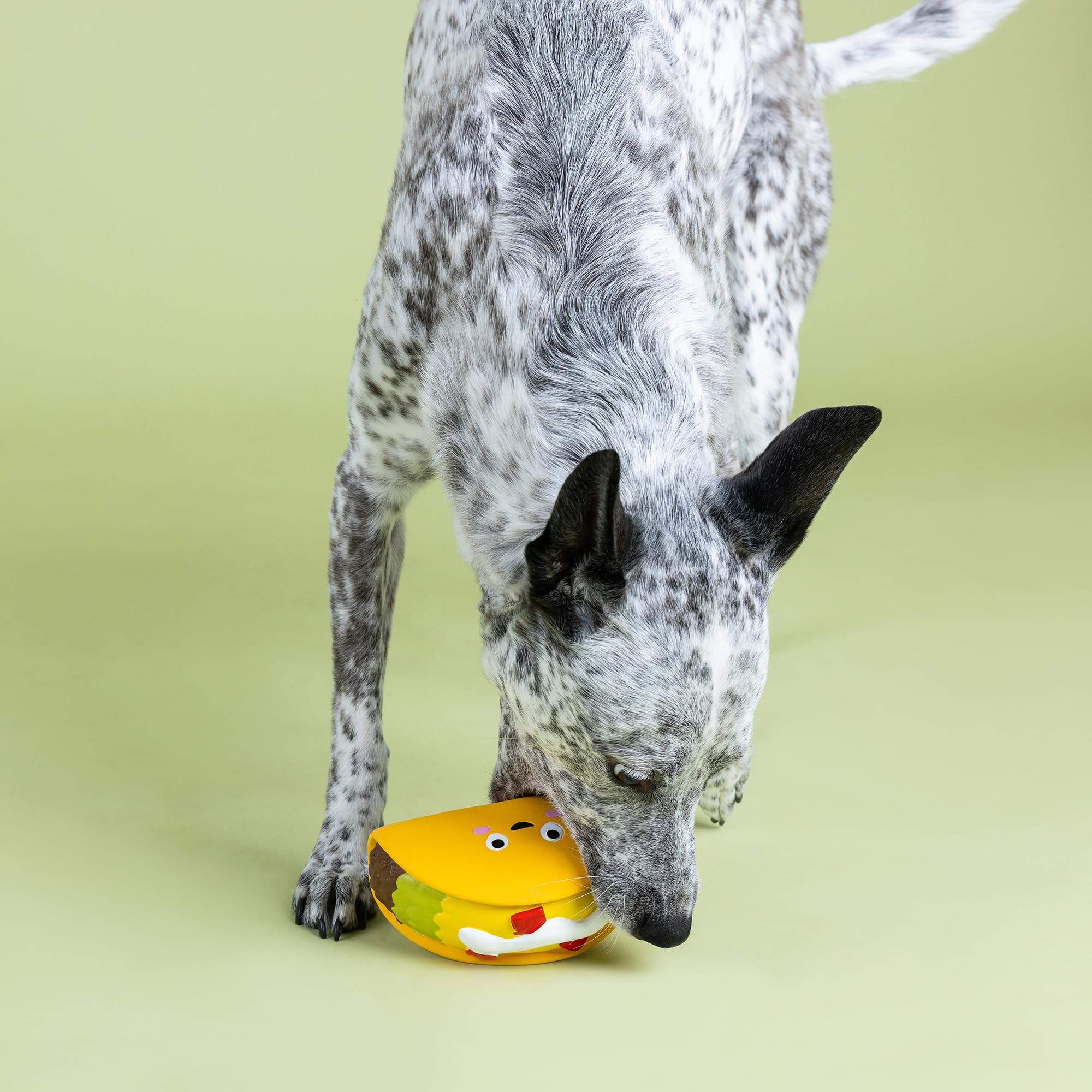 Fringe Studio WHATCHU Taco 'Bout Lateksowa zabawka dla psa, kolekcja Pet Shop (366020)