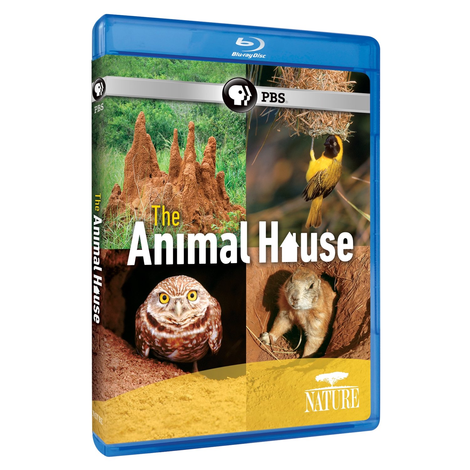 その他 Nature: The Animal House [Blu-ray] Nature: The Animal House [Blu-ray] | Amazon.com.br