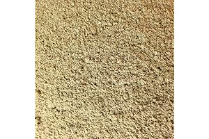 Seashell Power House: Oyster Shell Flour for Plant Growth