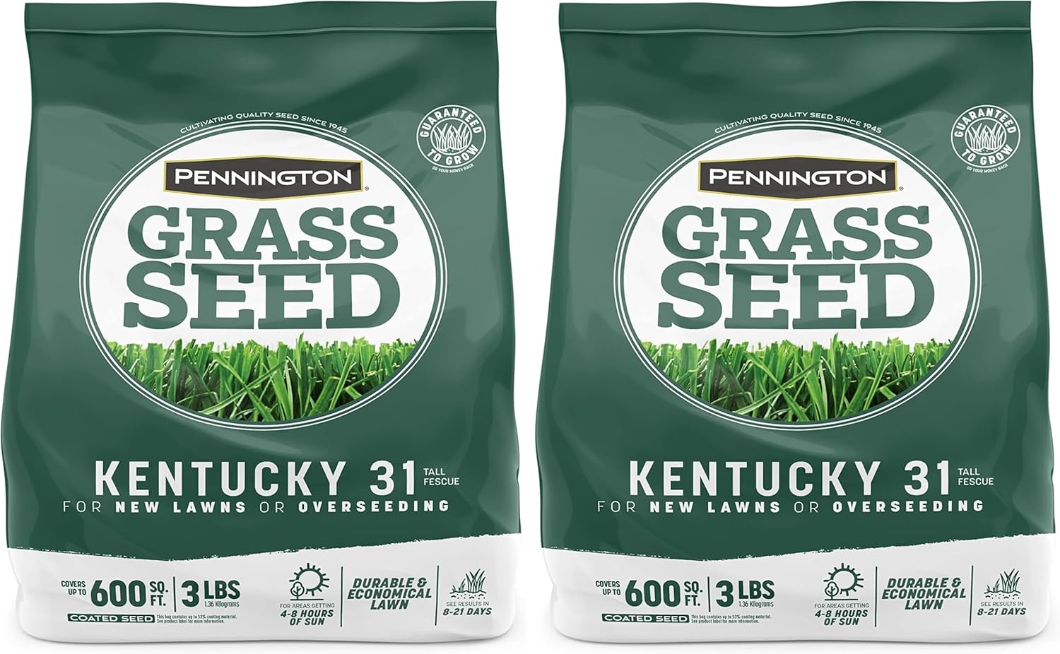 Pennington Kentucky 31 Tall Fescue Penkoted Grass Seed 3 lb