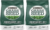 Vista 13 de Pennington Kentucky 31 Semilla de Césped Festuca Alta Penkoted 7 lb