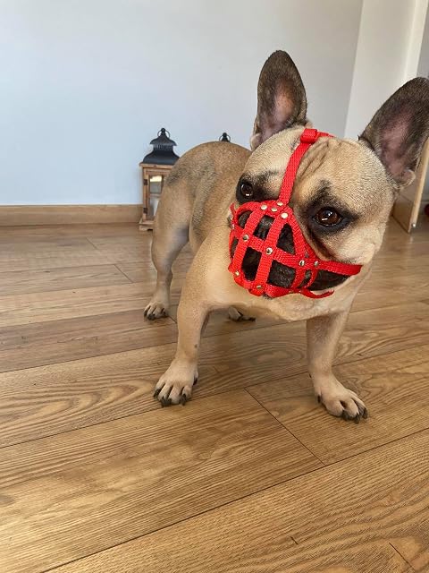 L&J Pets Uk Bozal de perro para bulldog francés, otros hocicos similares de hocico corto (FB0, rojo)
