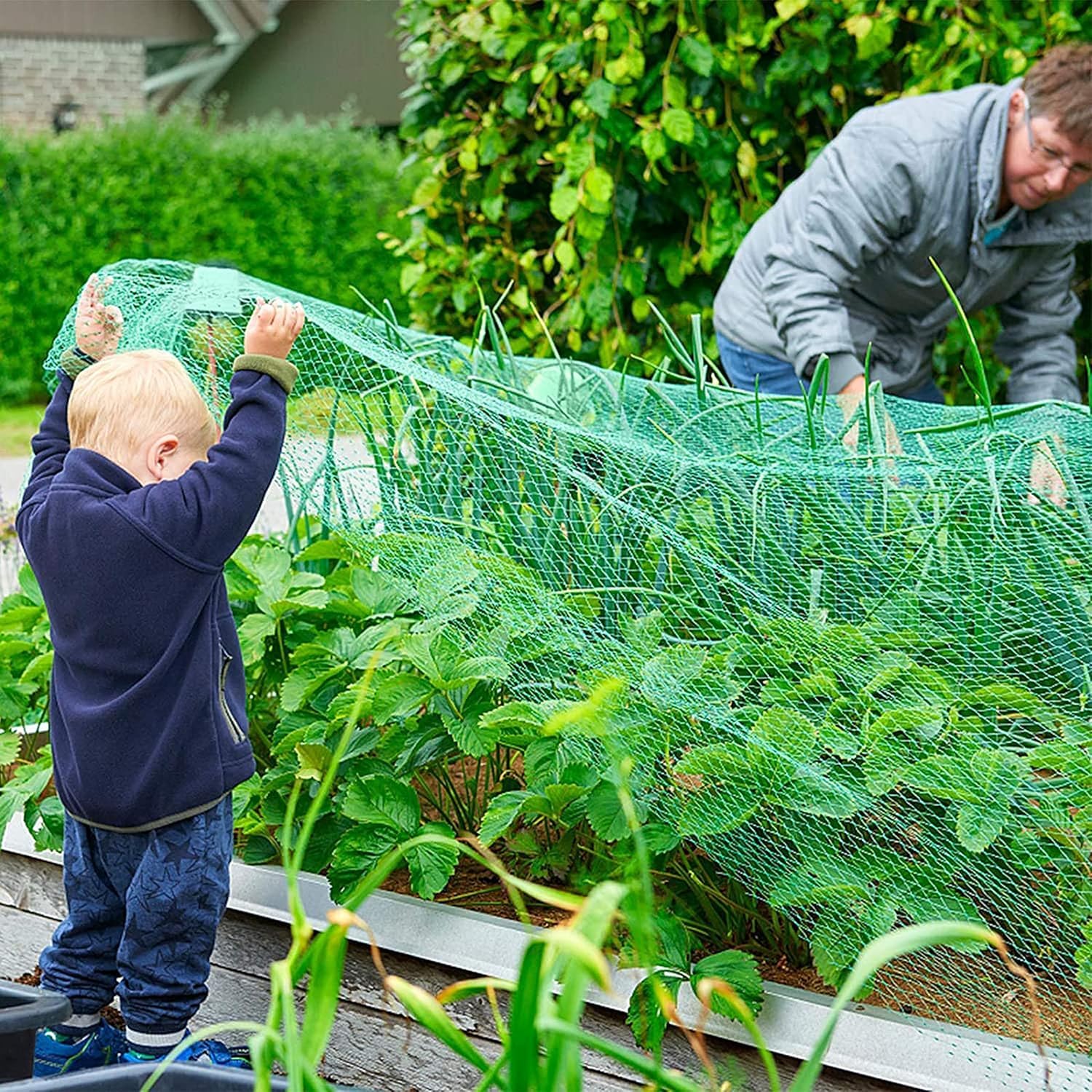Anti Bird Net - Protect Plants & Garden -5