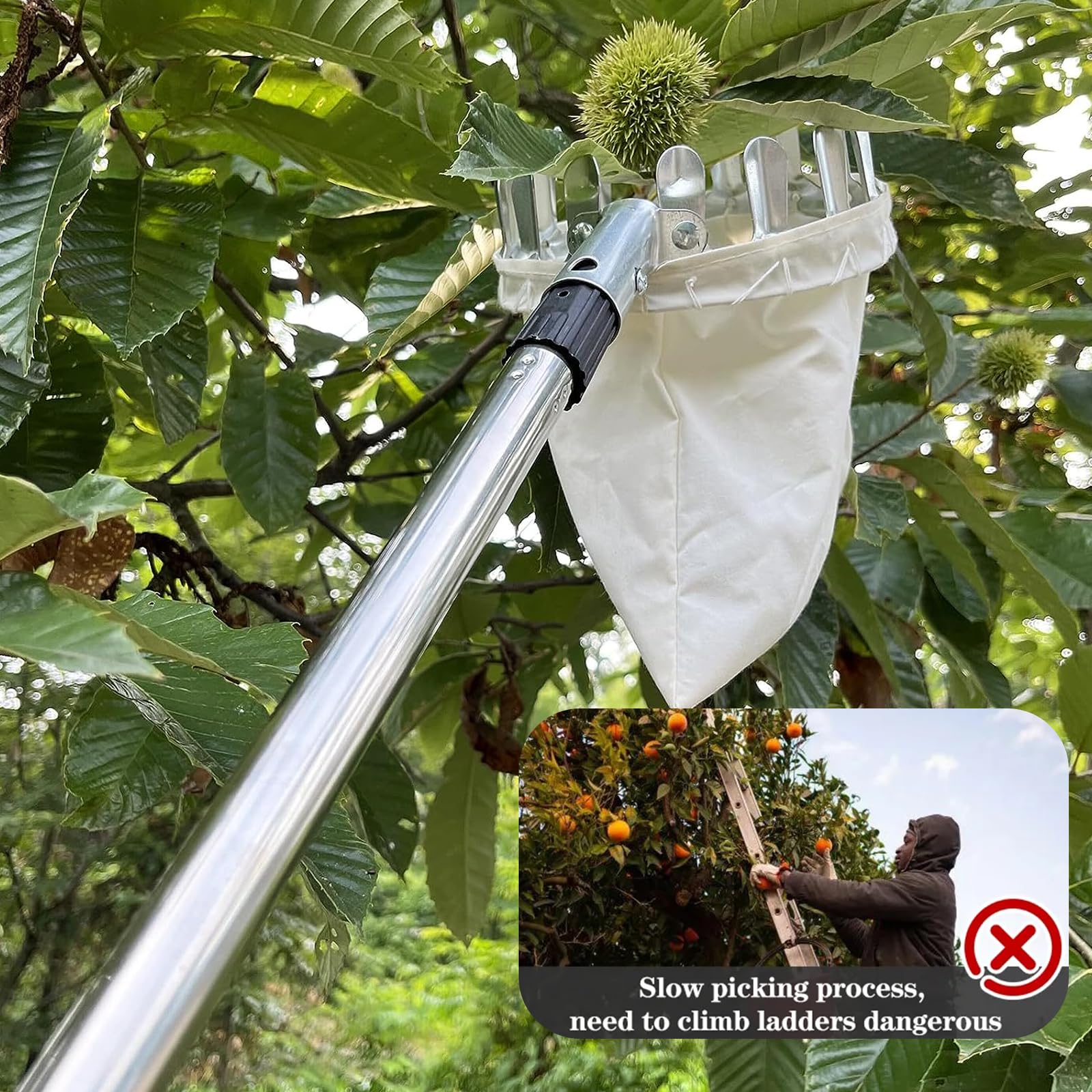 Cueille-fruits télescopique en acier inoxydable 4,2 m avec sac en coton pour vergers