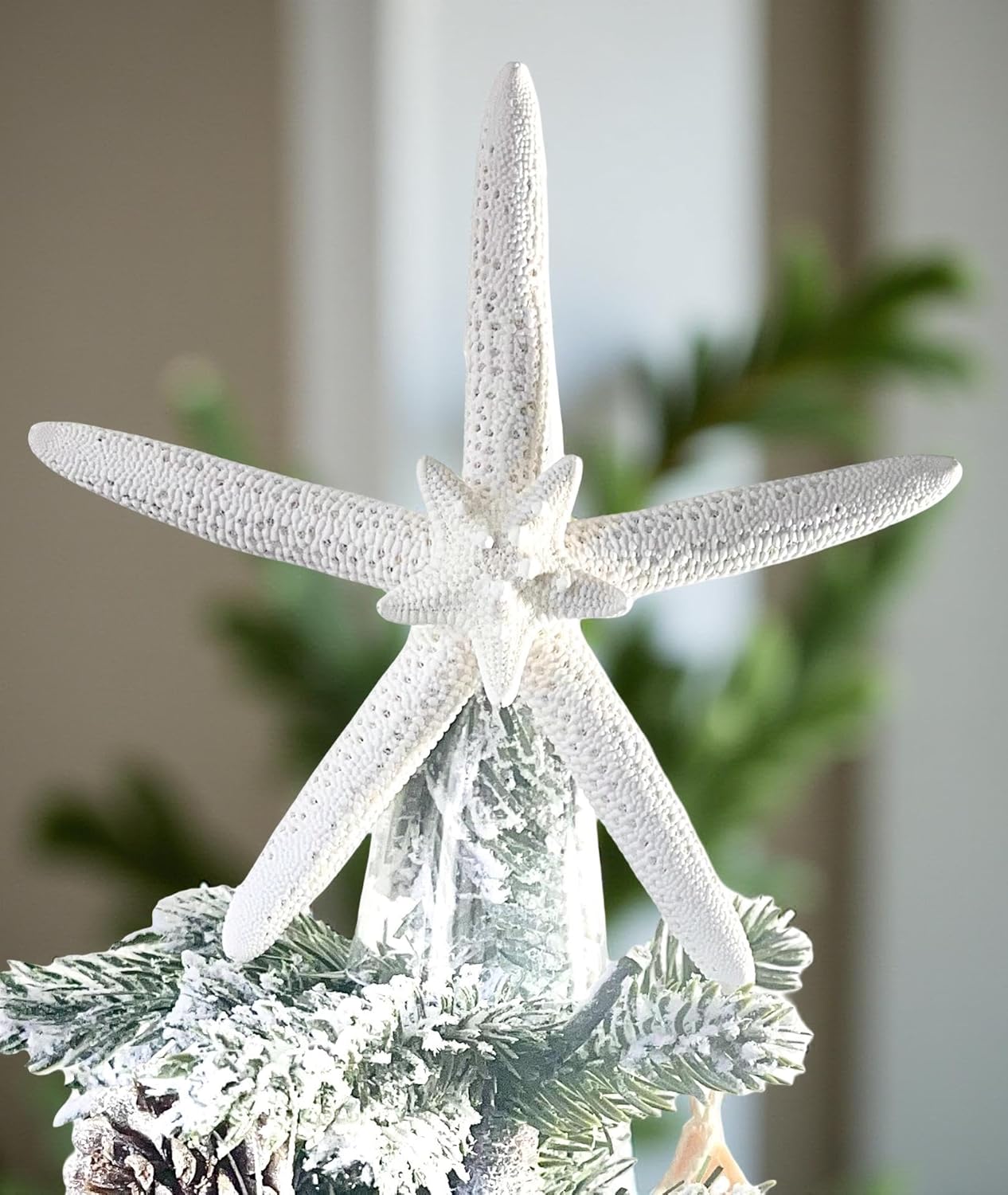 Starfish Tree Topper Double Natural - Real Starfish - Coastal and Beach Style Christmas Decoration