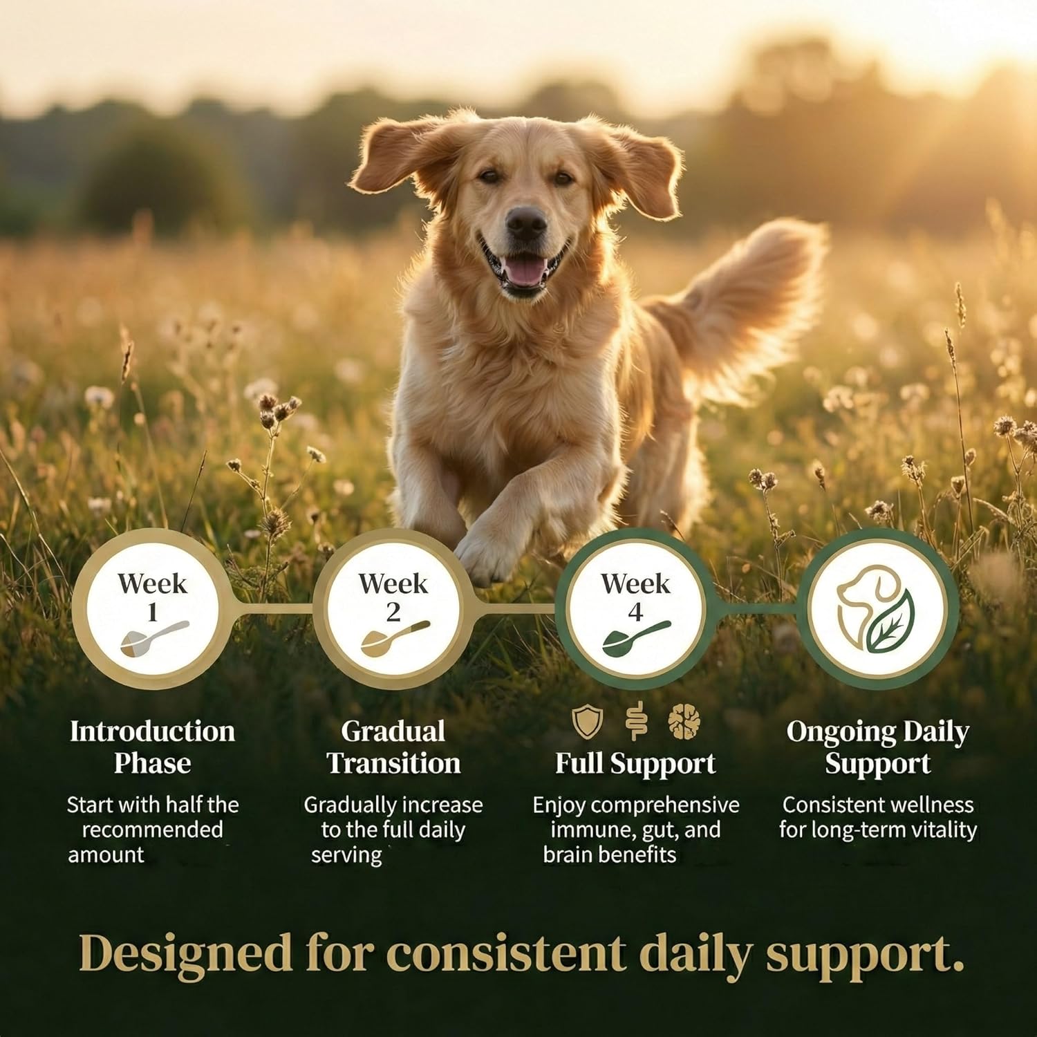 Turkey Tail Mushroom Powder for Dogs – Ultra 7-in-1 Mushroom Powder with Beta-Glucans, Immune, Digestive & Brain Support, Chicken Liver Flavor, Daily Supplement for Dogs-120g