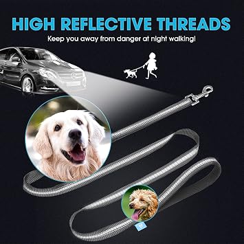 BAAPET 5 Feet Nylon Dog Leash with Triple Reflective Threads and Comfortable Padded Handle for Walking, Training Lead Small Puppy, Medium and Large Dogs (1.0'' x 5 FT, Black)