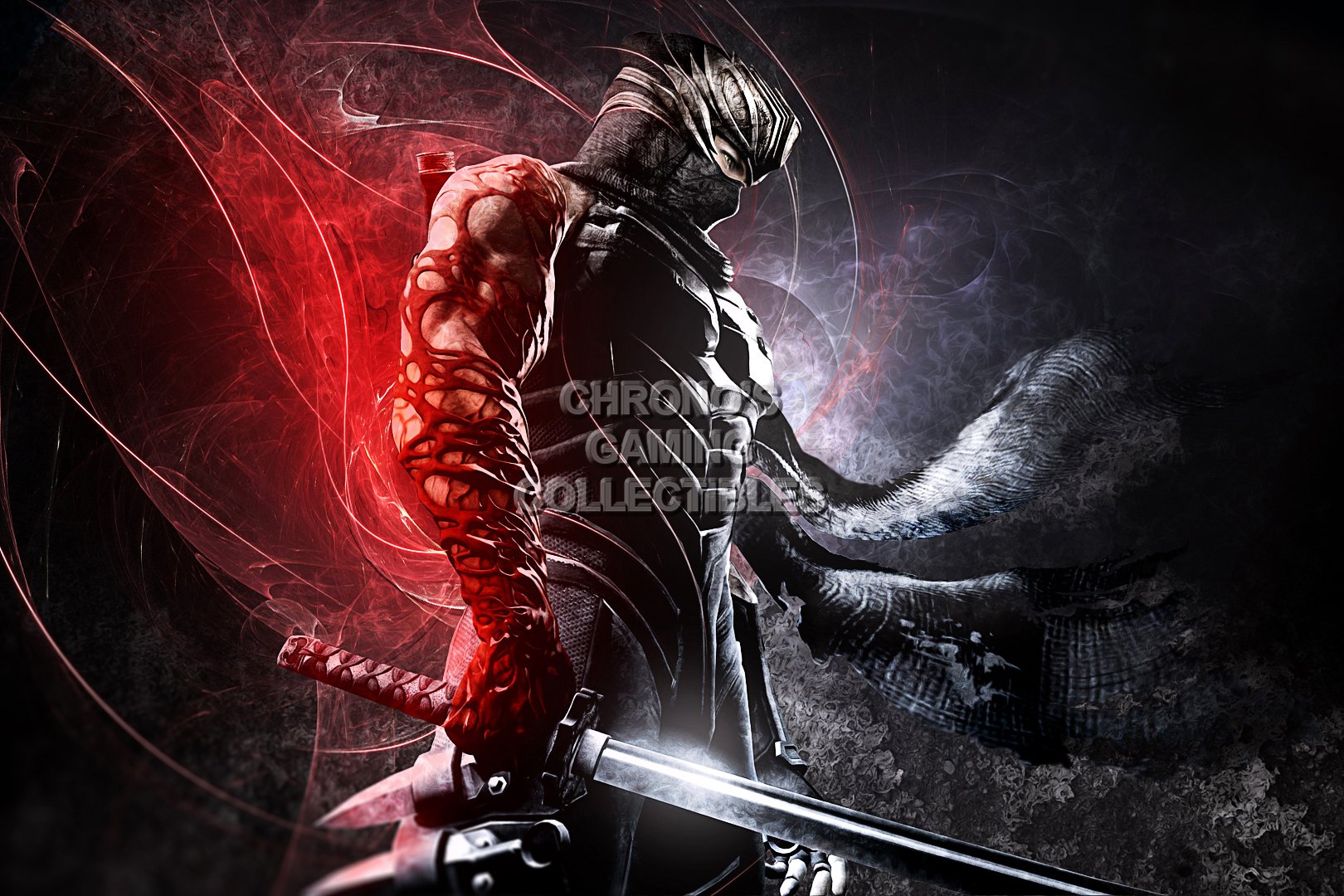 Amazon.com: PrimePoster - Ninja Gaiden 3 Razor's Edge Ryu Poster