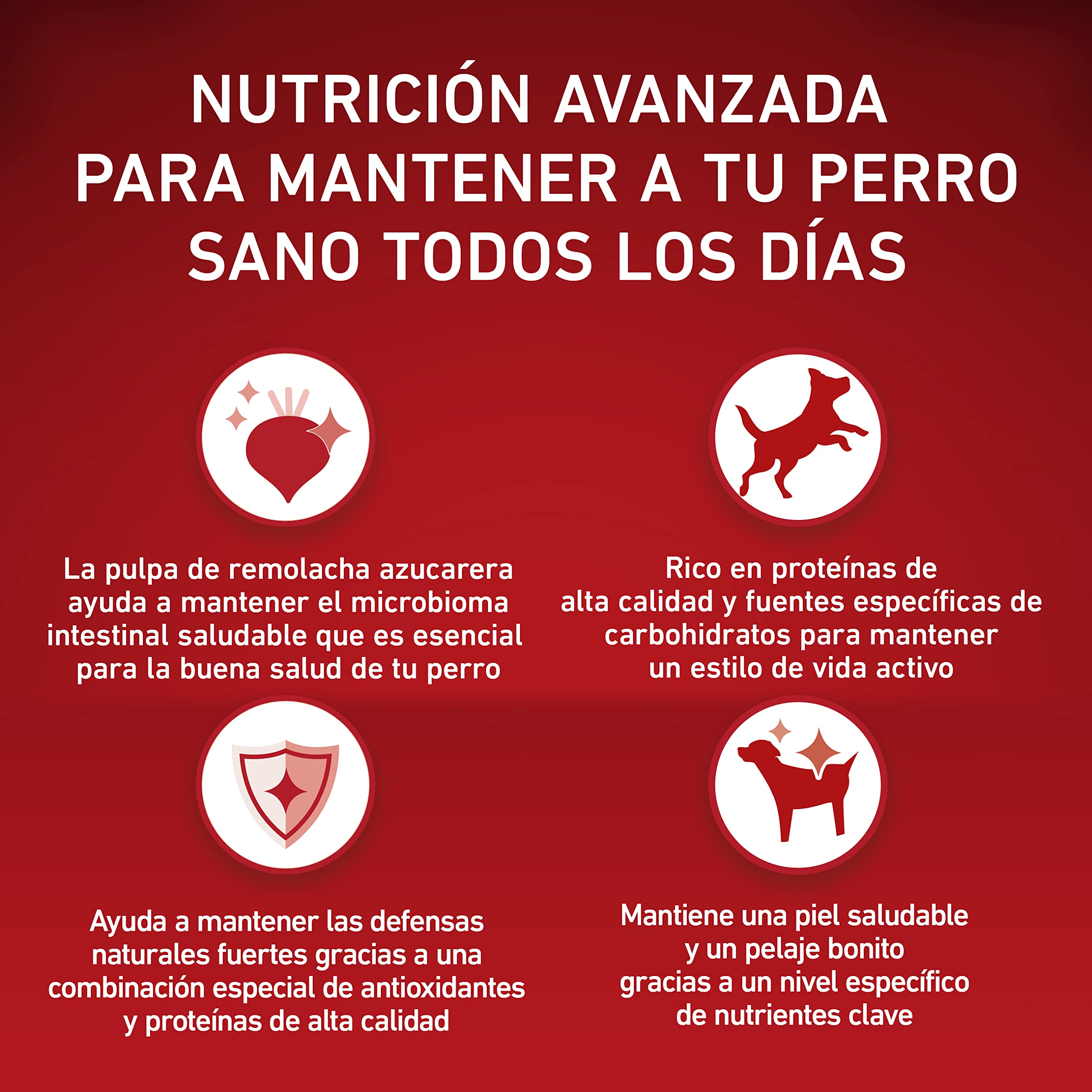 Purina ONE Mini <10kg pienso perro pequeño Activo Pollo 4x3 kg