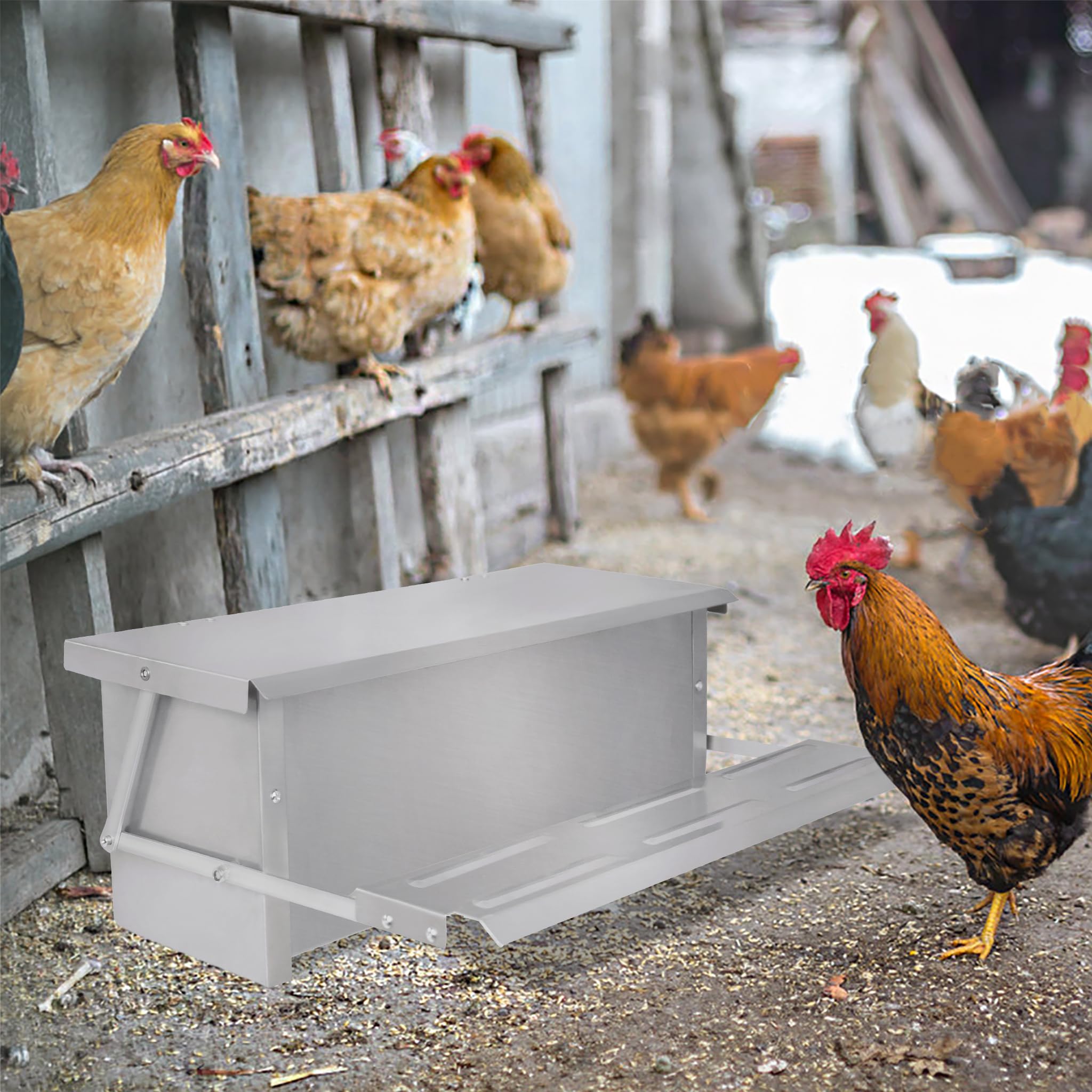 Mangiatoia automatica per polli in acciaio zincato, mangiatoia automatica con pedale e coperta, impermeabile e a prova di ratti, mangiatoia per pollame