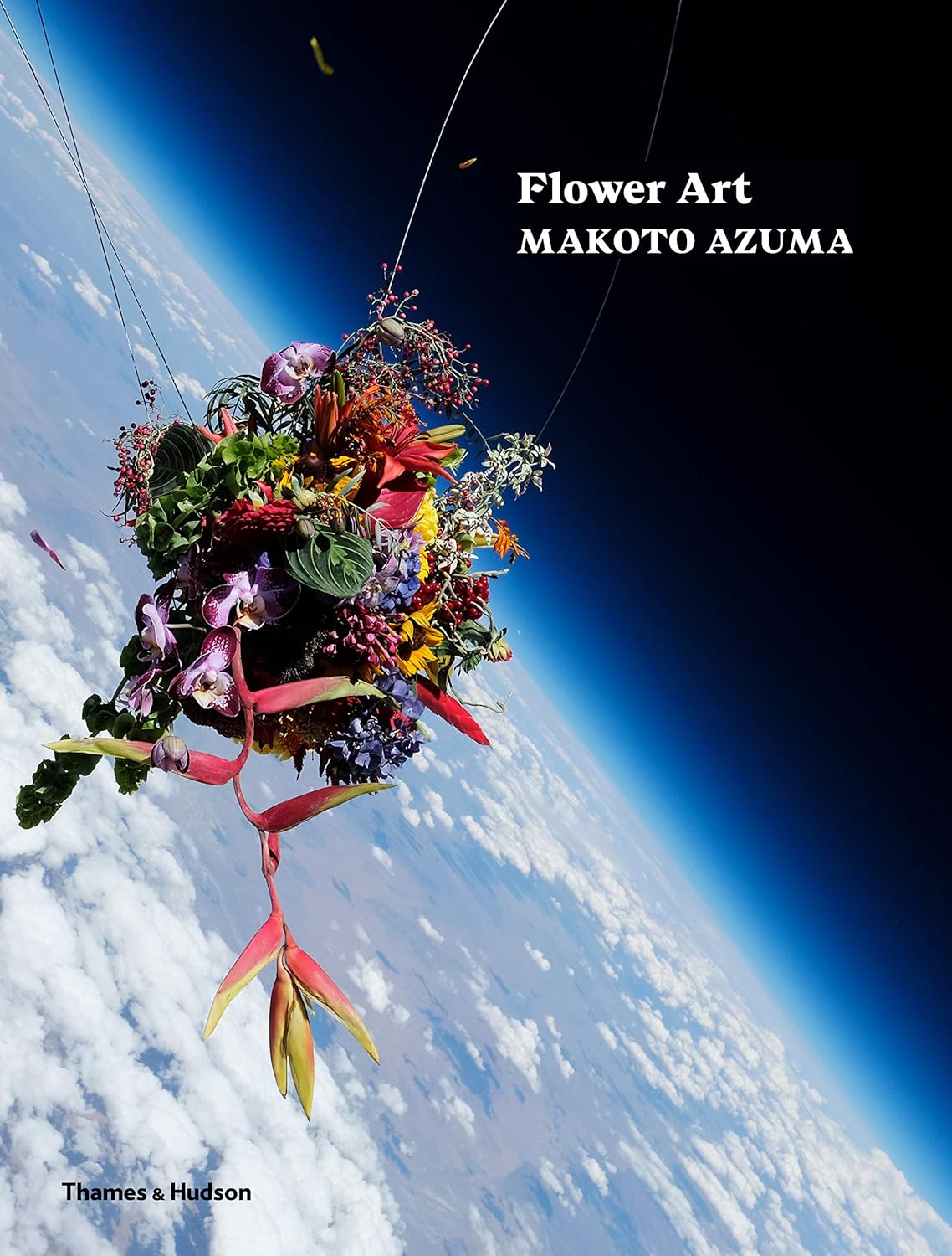 Amazon Flower Art Makoto Azuma Azuma, Makoto Plants & Animals