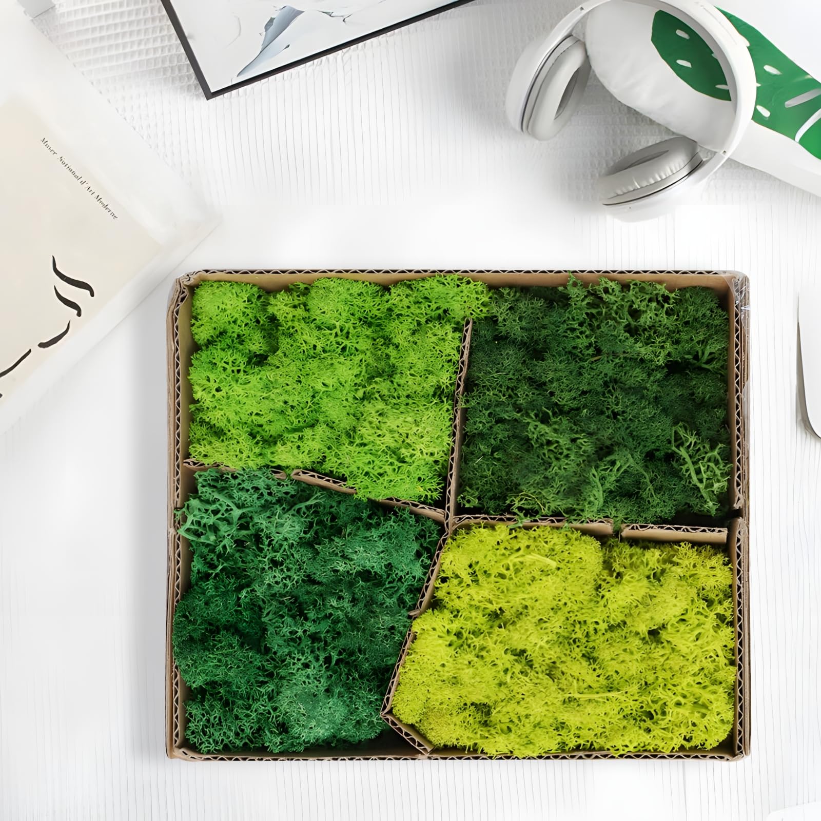 Generisch 1 Box konserviertes Moos, künstliche grüne Moosdeko in Vier Farbtönen, PE-Material, DIY-Bastelbedarf, Wanddeko für Zuhause, Terrarium, Modelllandschaft, für kreative Gestaltung