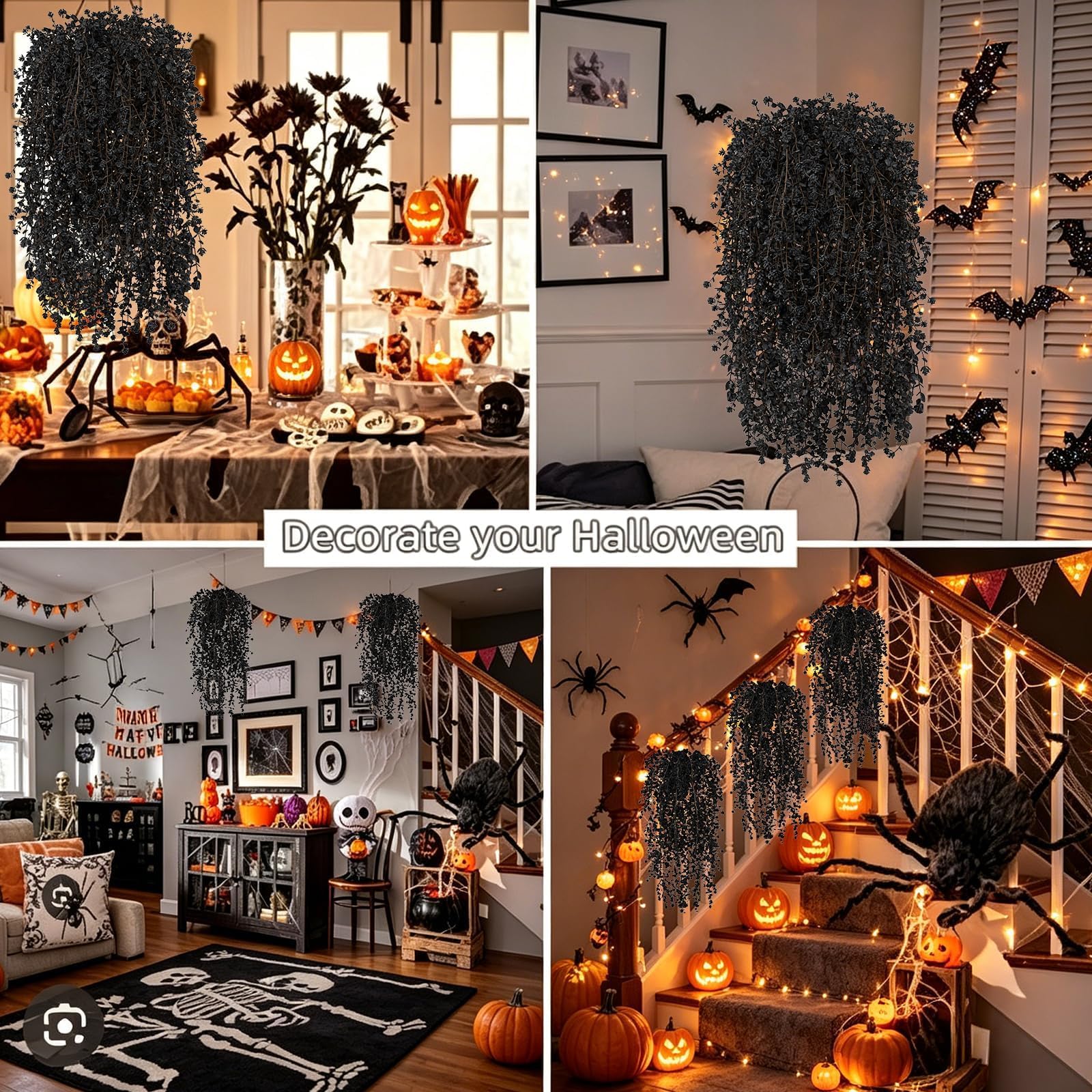 View 4