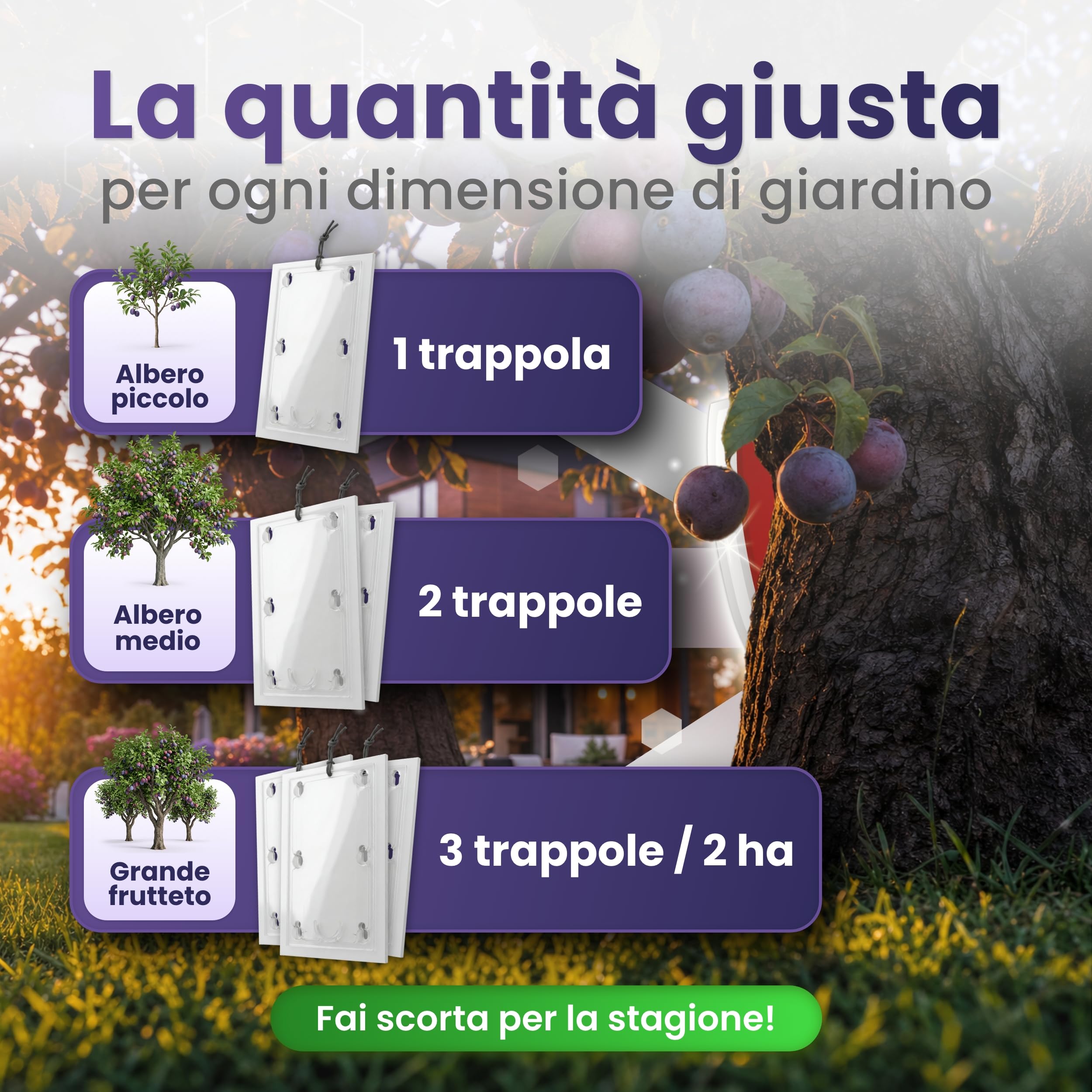 Trappola per prugne – Set di 2 trappole per prugne e alberi di prugne – Trappola per feromoni contro le mosse della frutta – Atossica e bioconforme – Combatte efficacemente l'avvolgitore