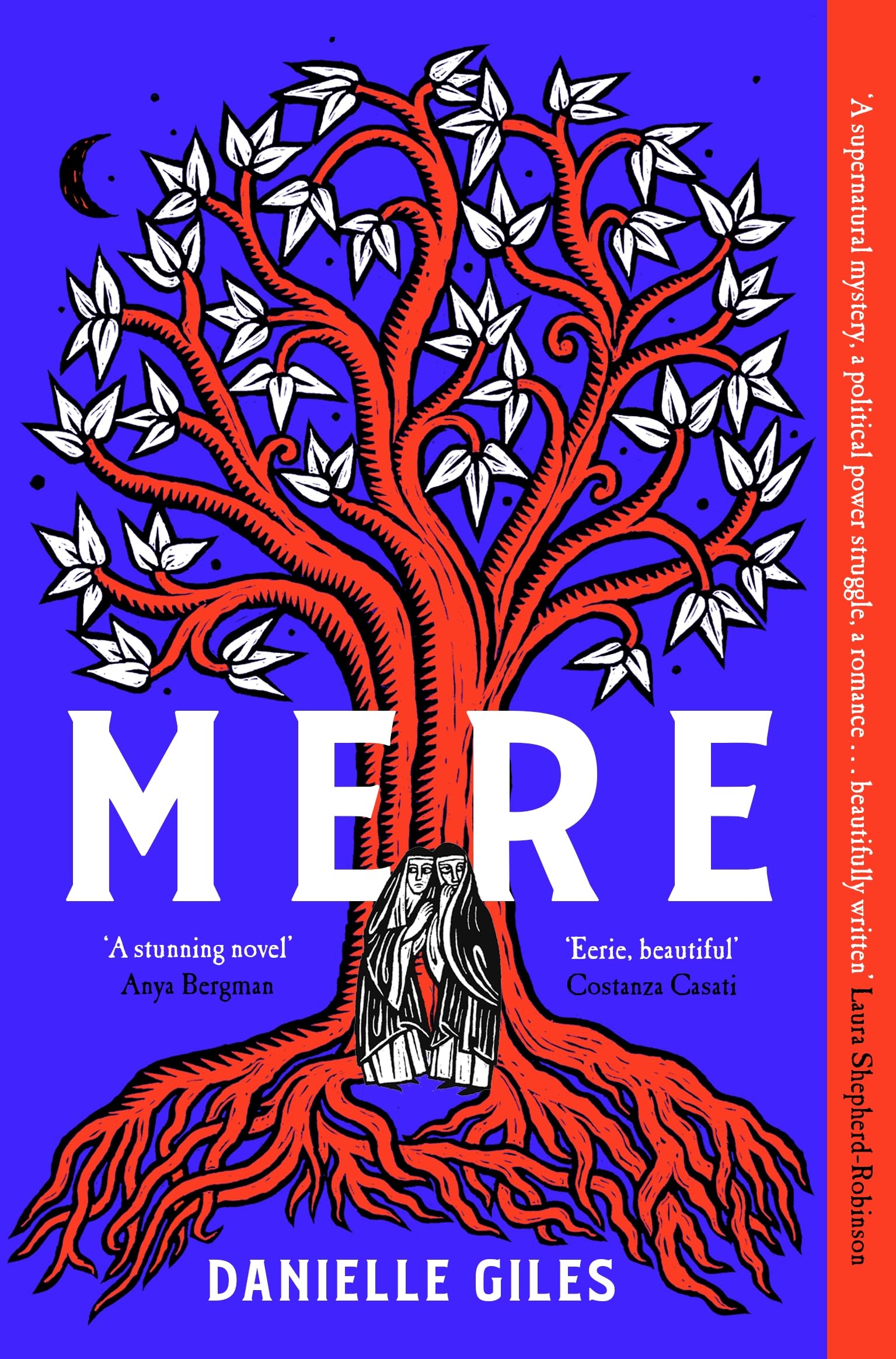 Mere by Danielle Giles - 9781035051243
