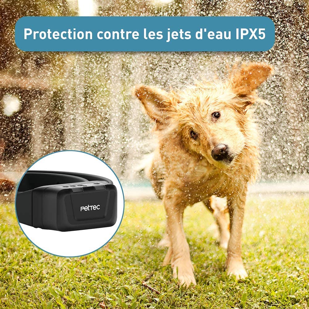 PetTec Collier à Spray avec Télécommande, Jusqu’à 600m, PetTec Collier Anti Aboiements Premium pour Chien avec Spray (Citronelle, Collier Anti Aboiements avec Spray)