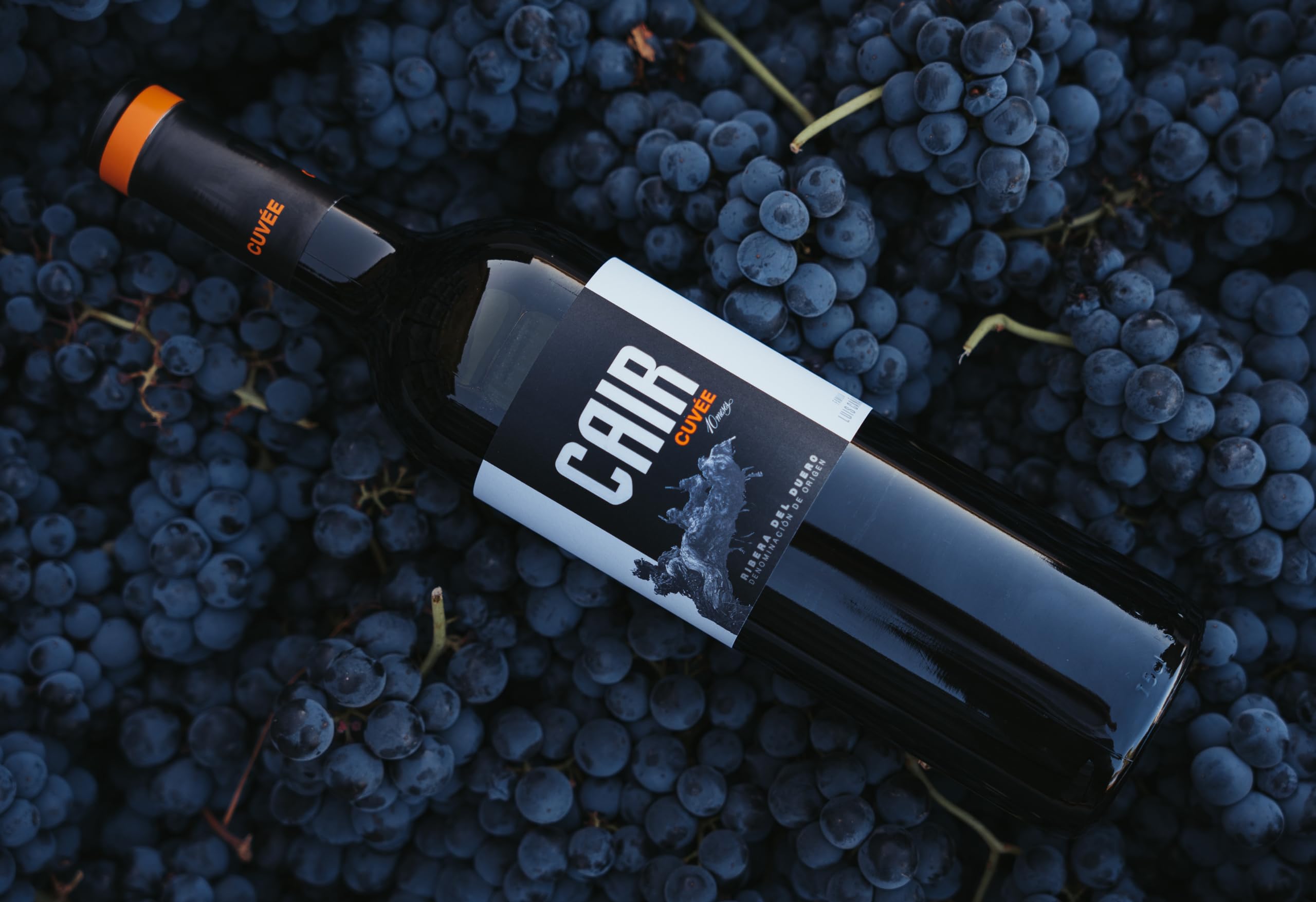 Cair Cuvée- Vino Tinto con D.O. Ribera del Duero - Variedad de Uva Tempranillo y Merlot - Notas de Fruta Roja y Tonos Florales - Crianza durante 10 meses - Incluye Estuche - 6 Botellas de 75 cl