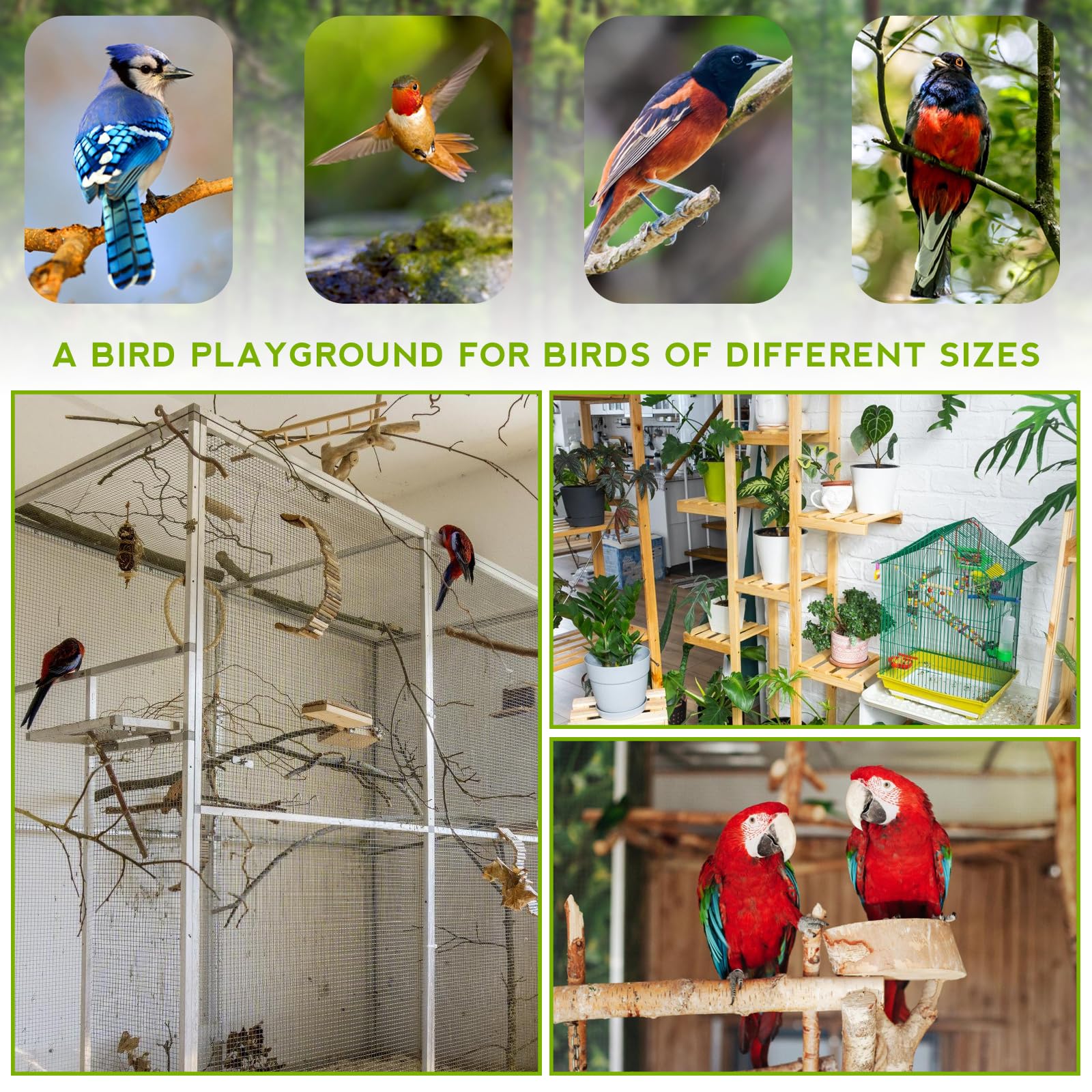 Parque De Juegos para Loros,Parque Infantil para Pájaros con Tazas Y Bandeja,Parque Infantil Grande para Pájaros,Parque Infantil De Cacatúas para Loros,Cacatúas Y Conos