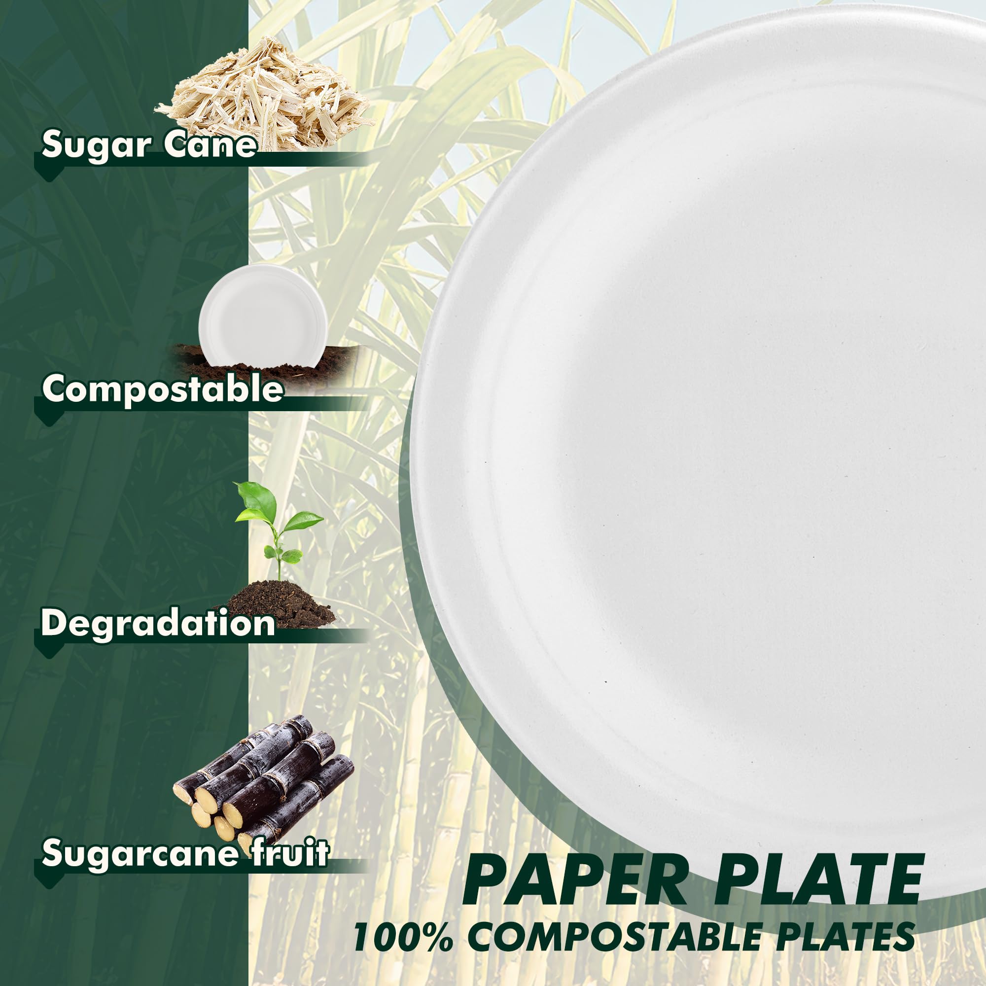 Compostable Paper Plates - 150 Pack (10 Inch) -5