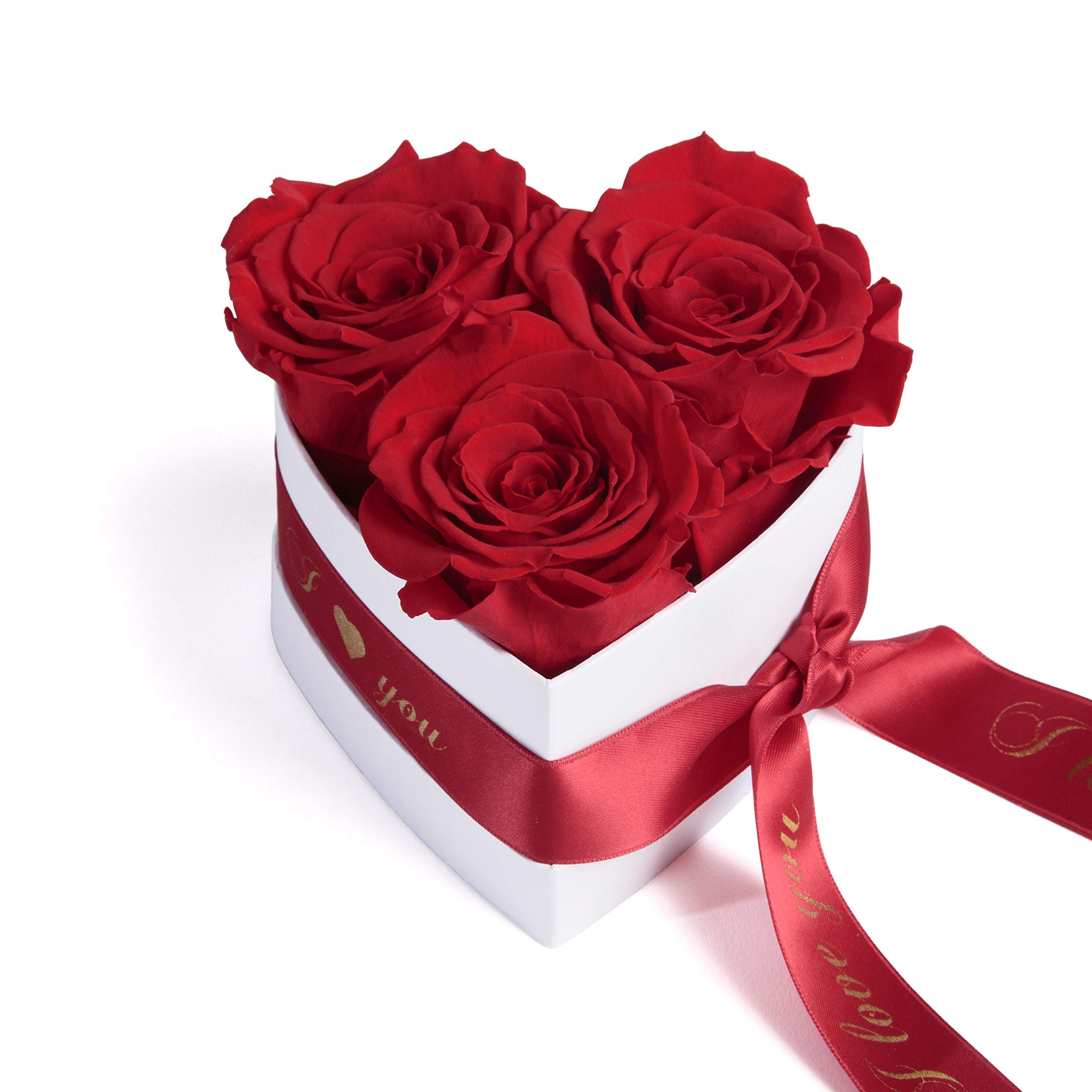 Rosemarie Schulz Heidelberg Infinity Rosenbox Herz 3 Konservierte Rosen in Box - Haltbar 3 Jahre 10x12cm - Liebeserklärung Herz Geschenke für Frauen Valentinstag und Frauentag (I Love You, Rot)