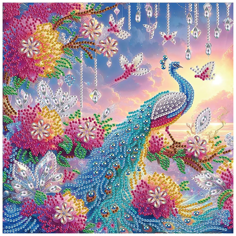 DIADAY Peacock Diamond Painting Kit, Special Shape Diamond Art, 30x30cm