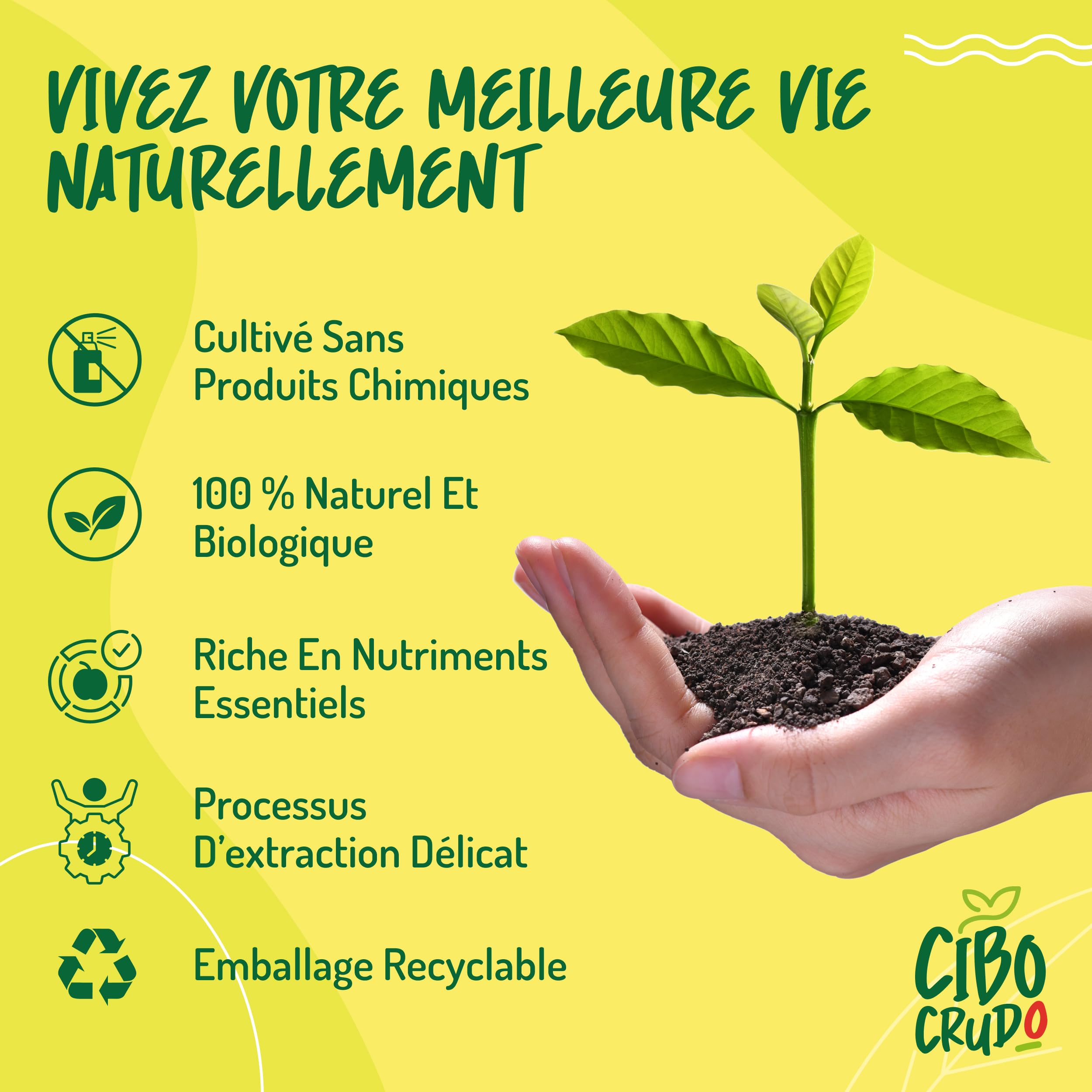 Huile de Nigelle Bio Pure Alimentaire Pressée à Froid - 500ml. Huile de Cumin Noir Bio Riche en Oméga 6/9 pour Assaisonnements - Black Seed Oil.