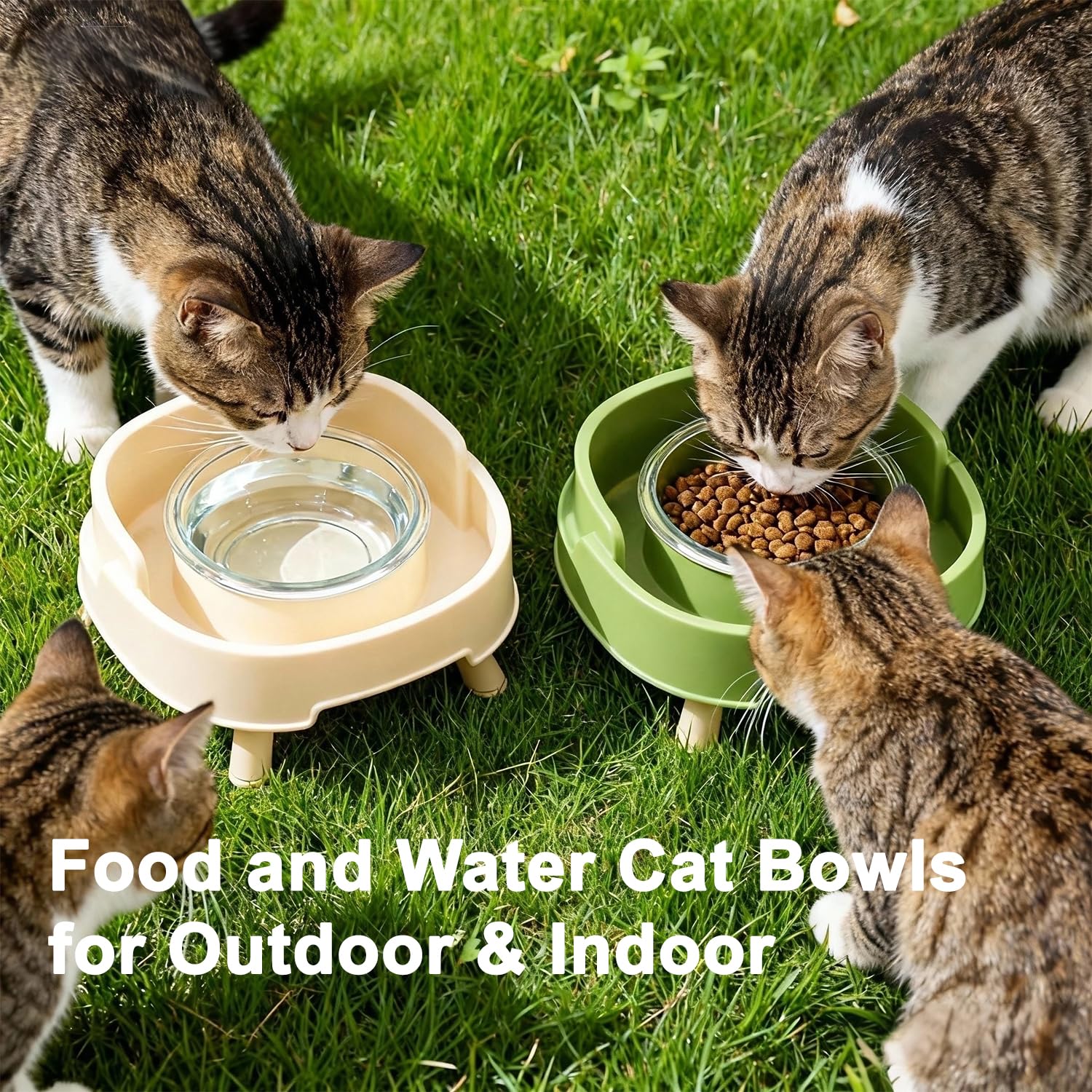 Ciotola per cibo per gatti a prova di formiche, piatto rialzato in vetro per animali domestici con supporto profondo anti-formiche, senza stress, ciotole per cibo e acqua, per gatti e cani di piccola